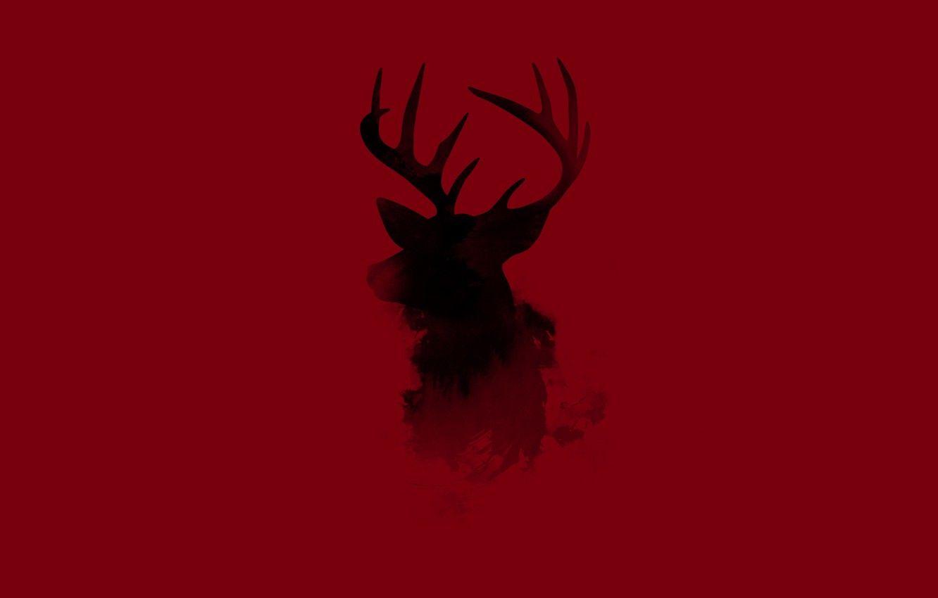 1332x850 Wallpaper animal, minimalism, deer .