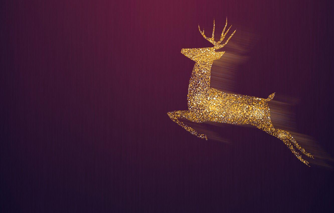 1332x850 Wallpaper Minimalism, Christmas, Deer .