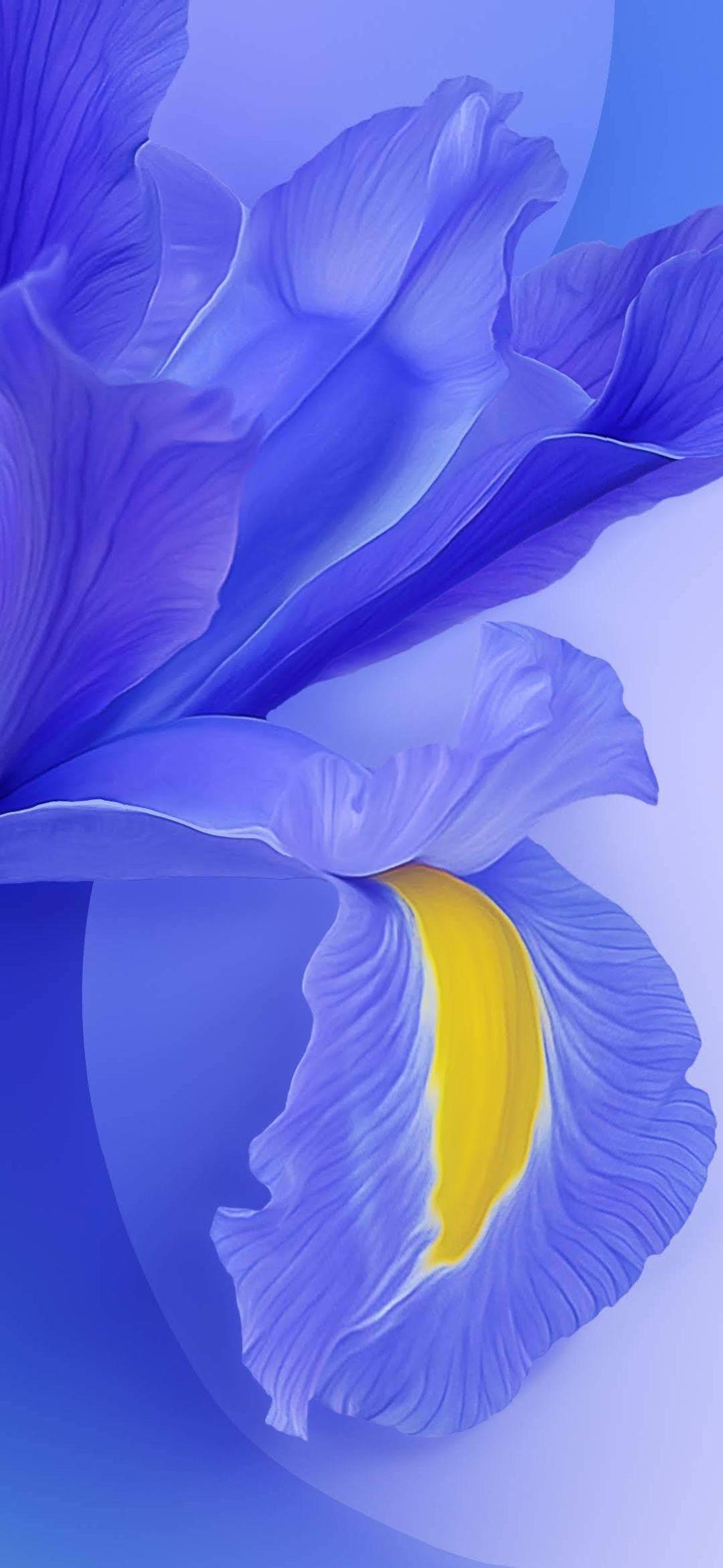 1080x2340 New Redmi 8A