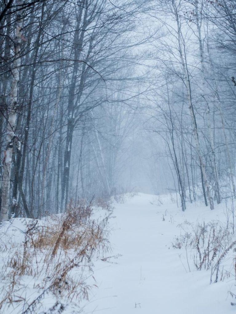 768x1024 Free download Canada Quebec Winter .