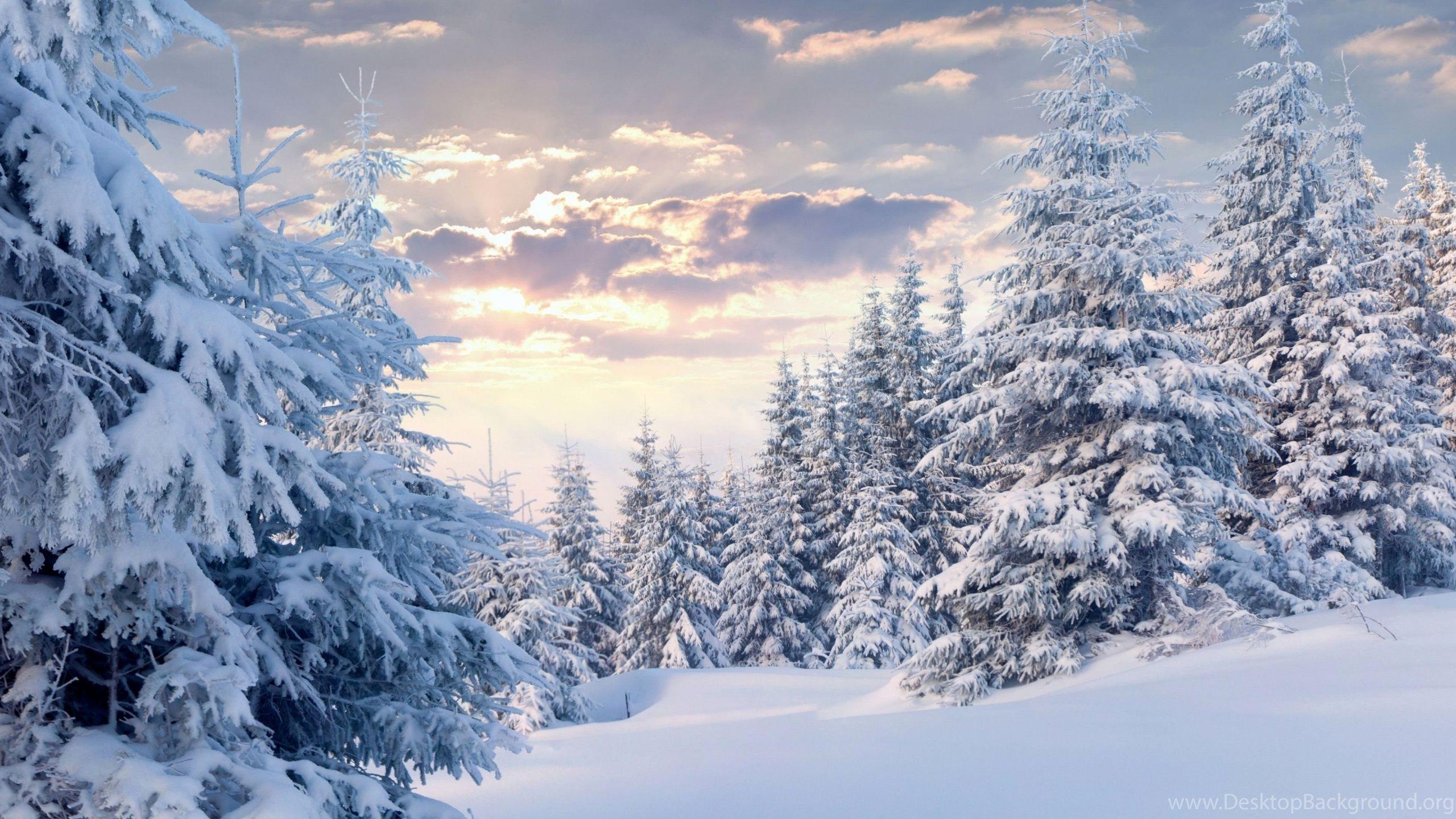 2560x1440 10++ Canada Winter Wallpaper 4k .bastywallpaper.