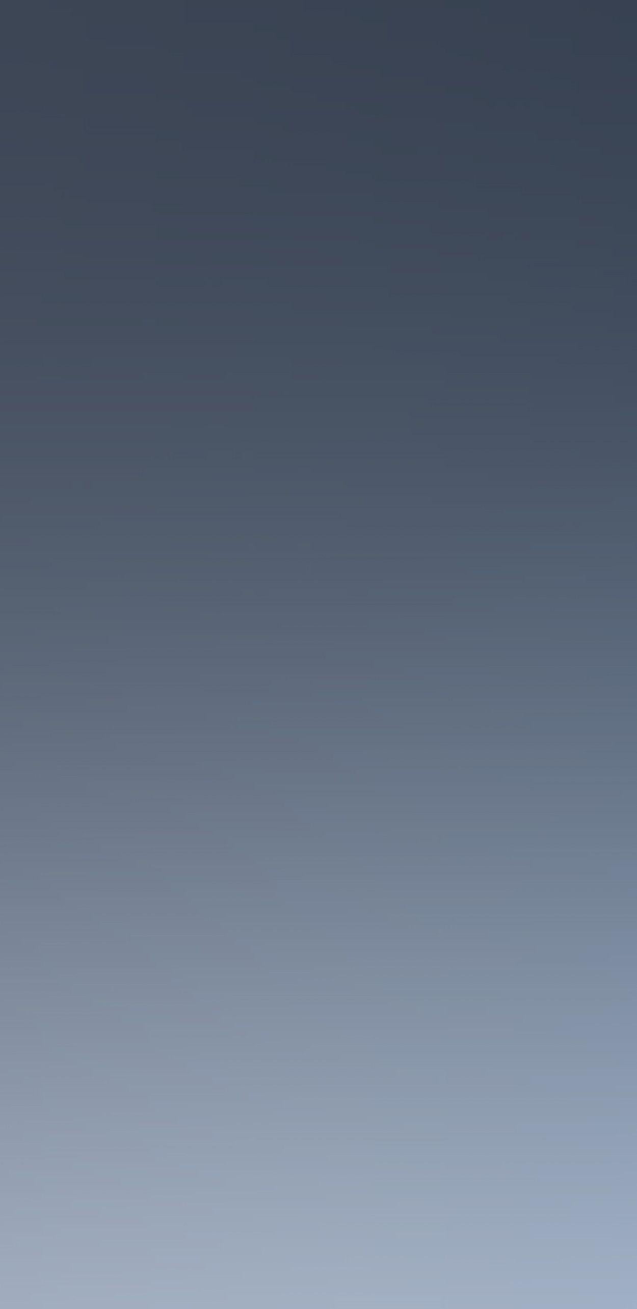 1250x2570 Grey Phone Wallpaperwallpaper.dog
