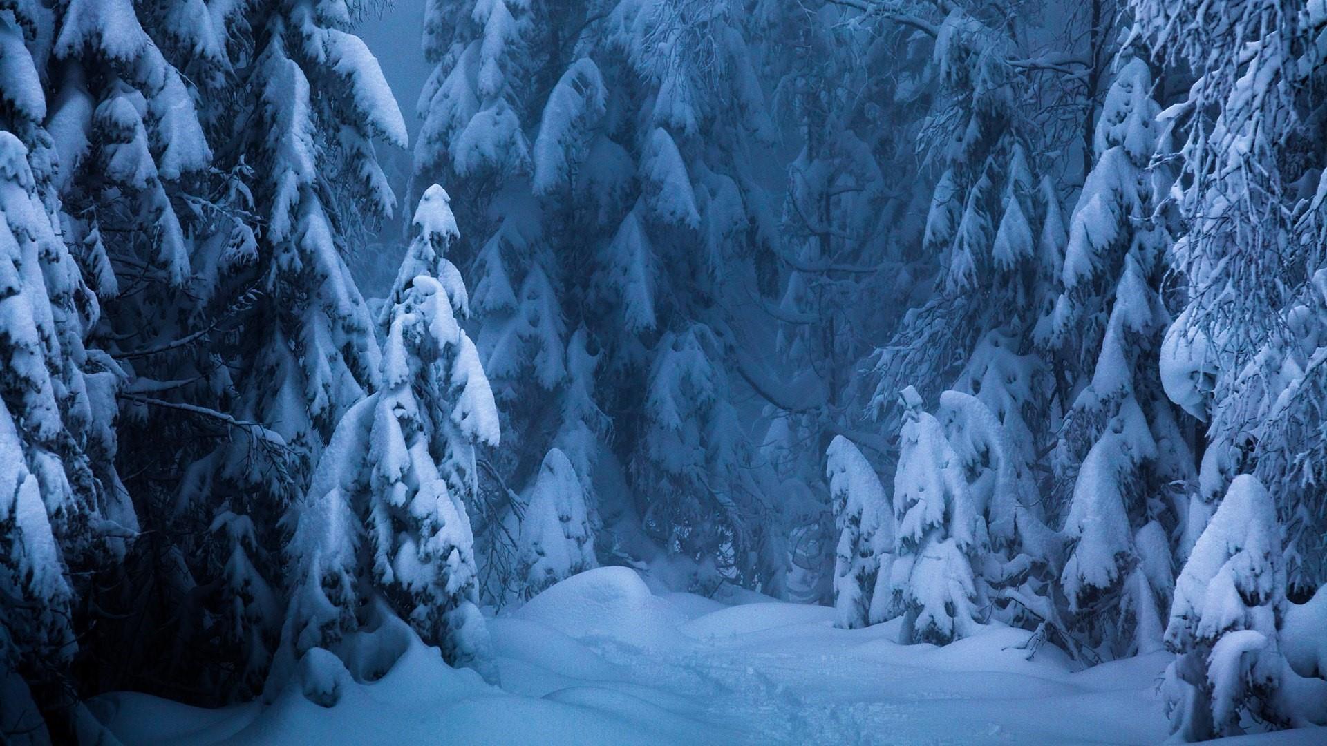 1920x1080 Winter Nordic Wallpaper