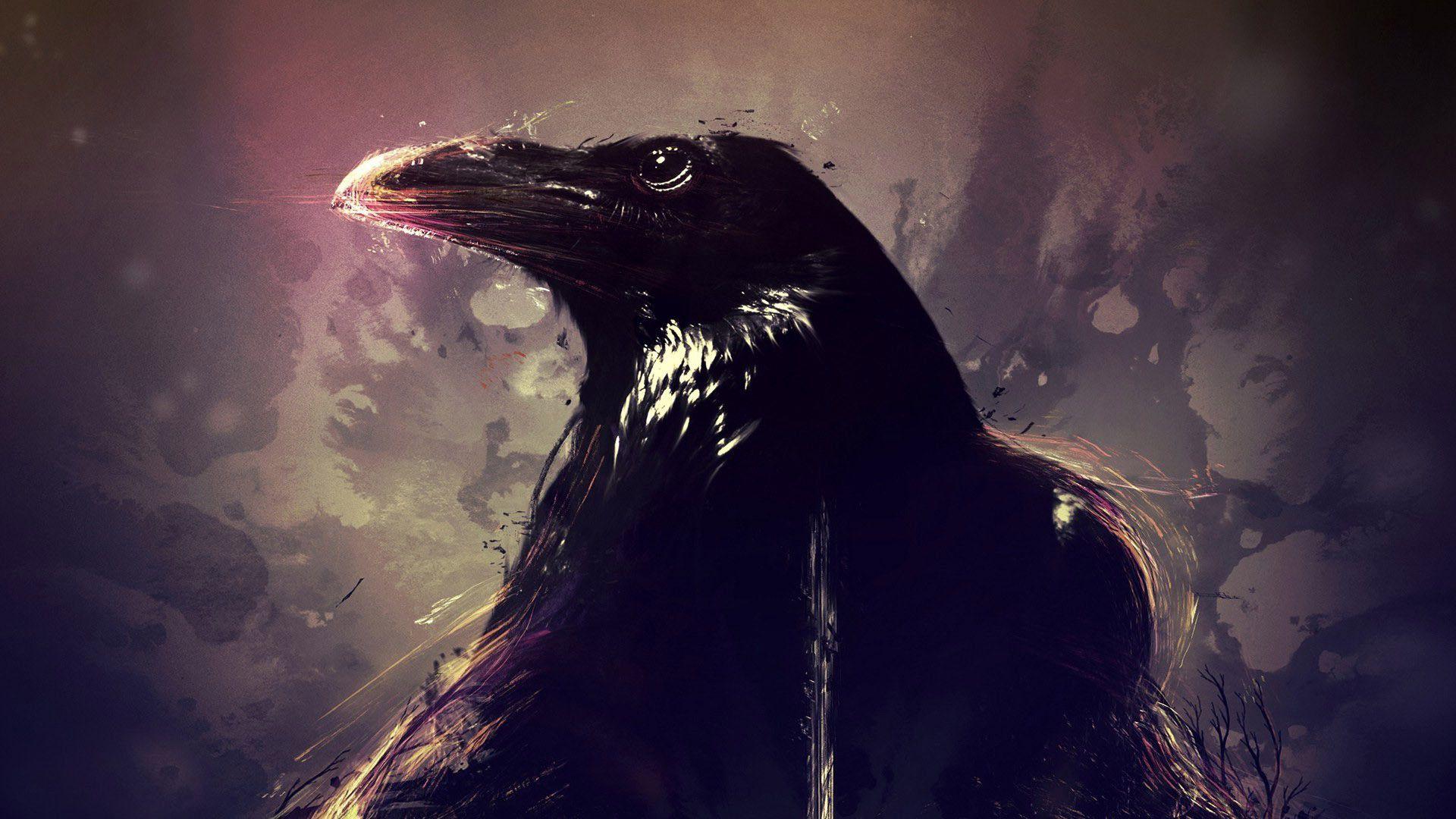 1920x1080 Crow Wallpaper Data Src Desktop .