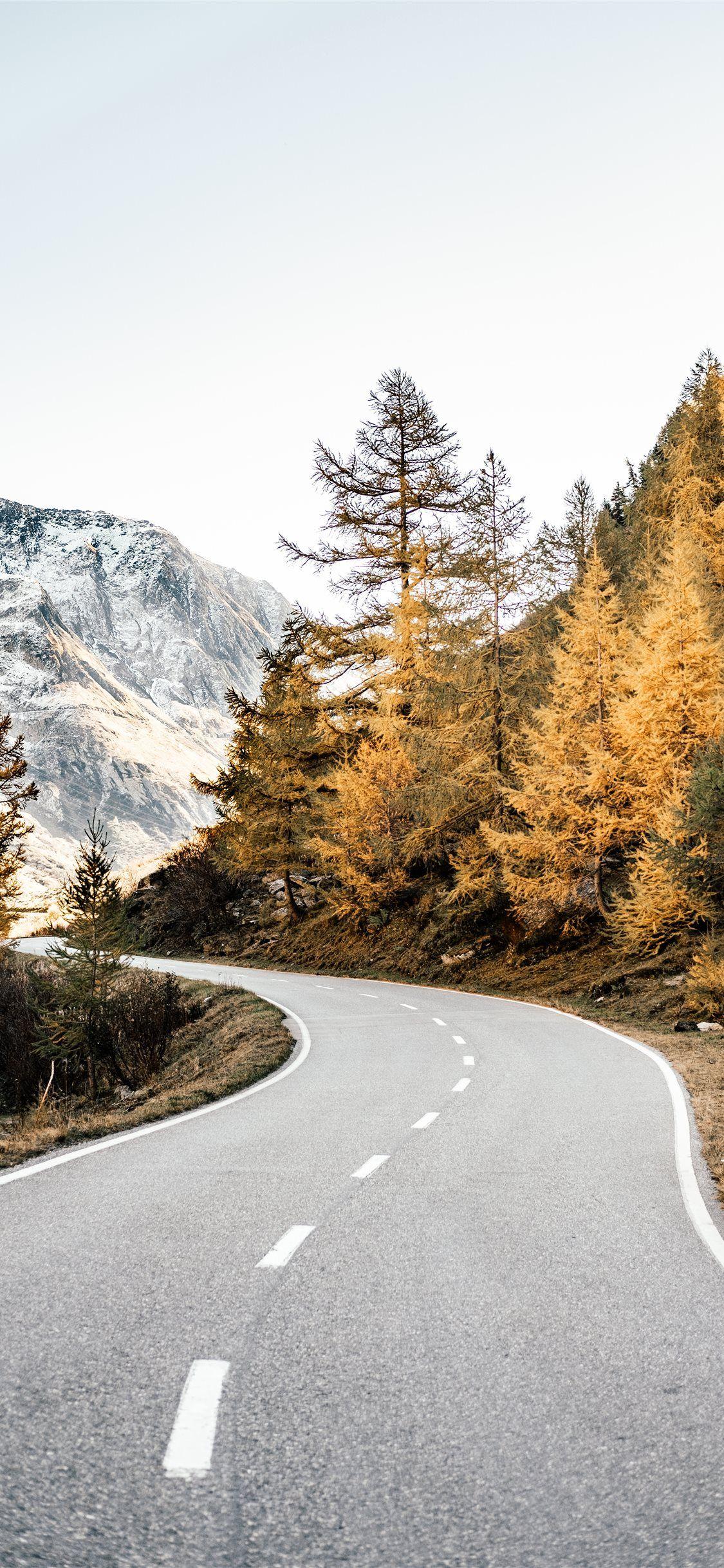1125x2436 winding road near mountains and forest .