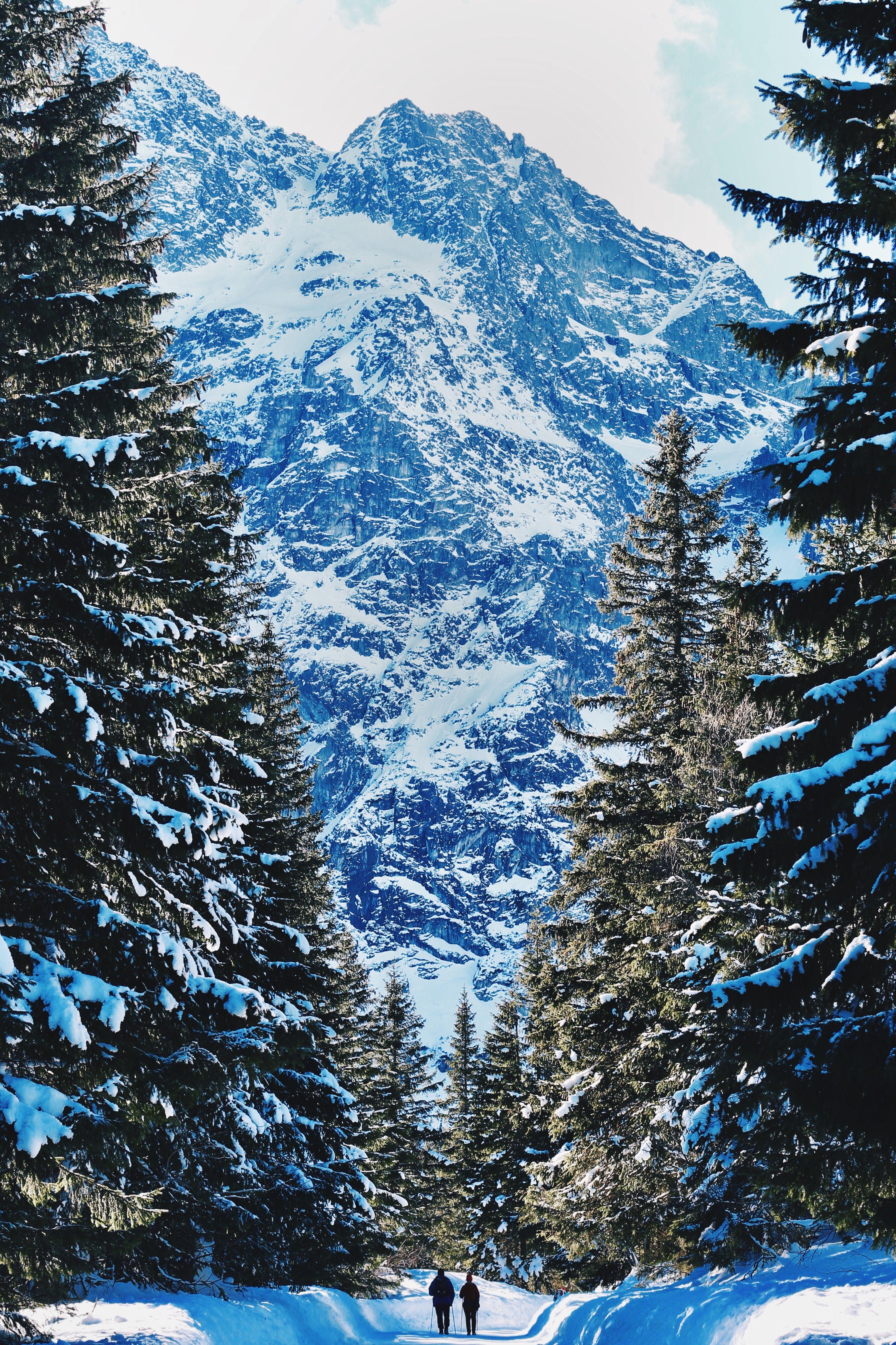 3277x4917 people, winter, mountains, forest, snow .