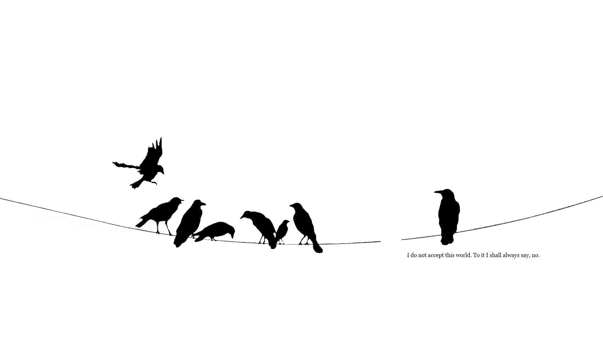 1920x1080 Crow
