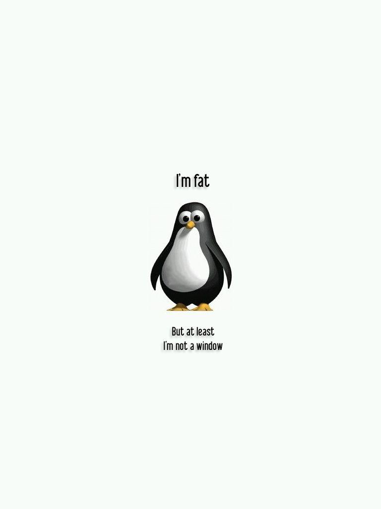 768x1024 HD Wallpaper Funny Quotes, Funny Work .