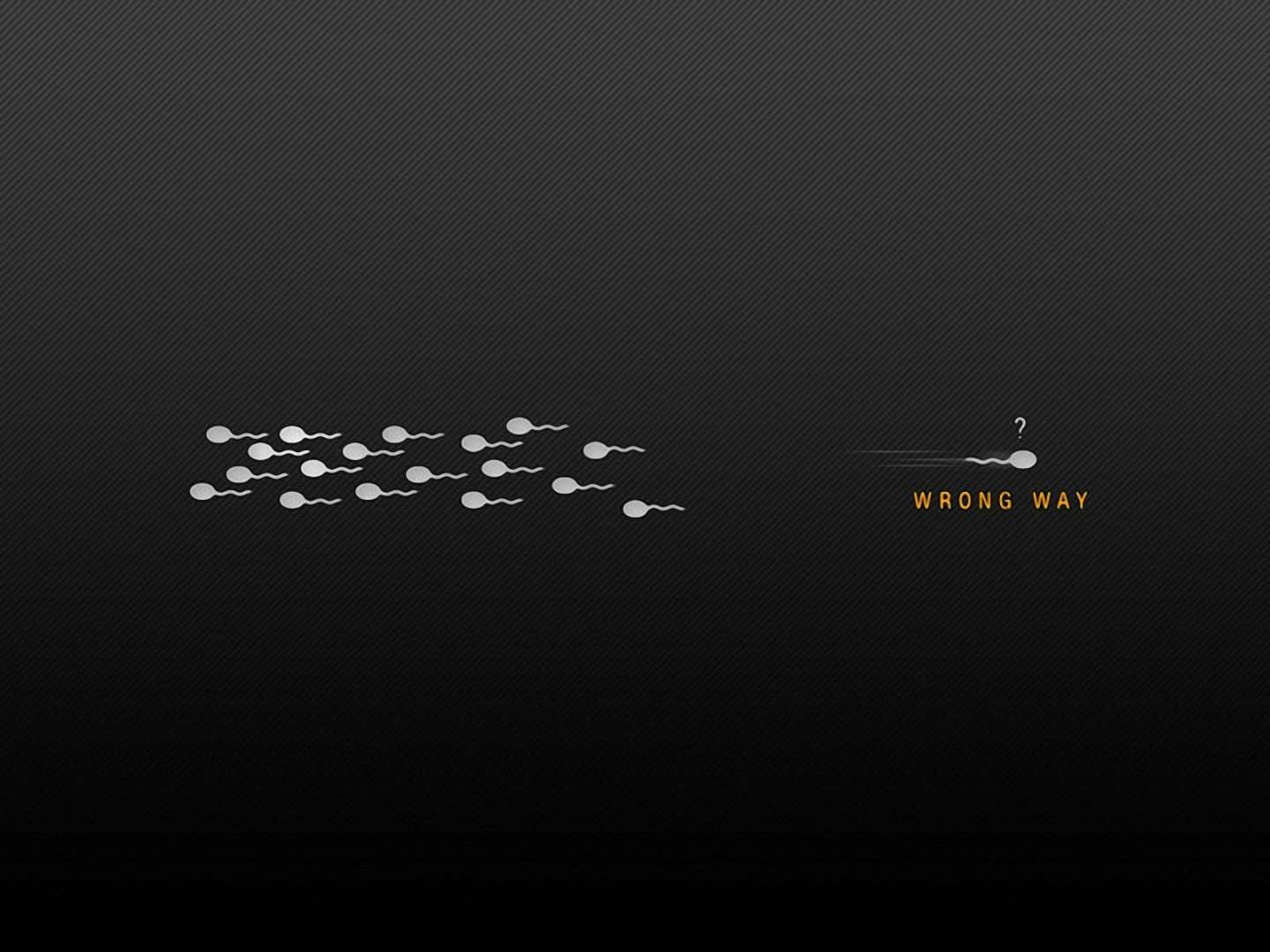 1440x1080 Funny Quotes Wallpaper 4kfunnychristmasphotosnew.