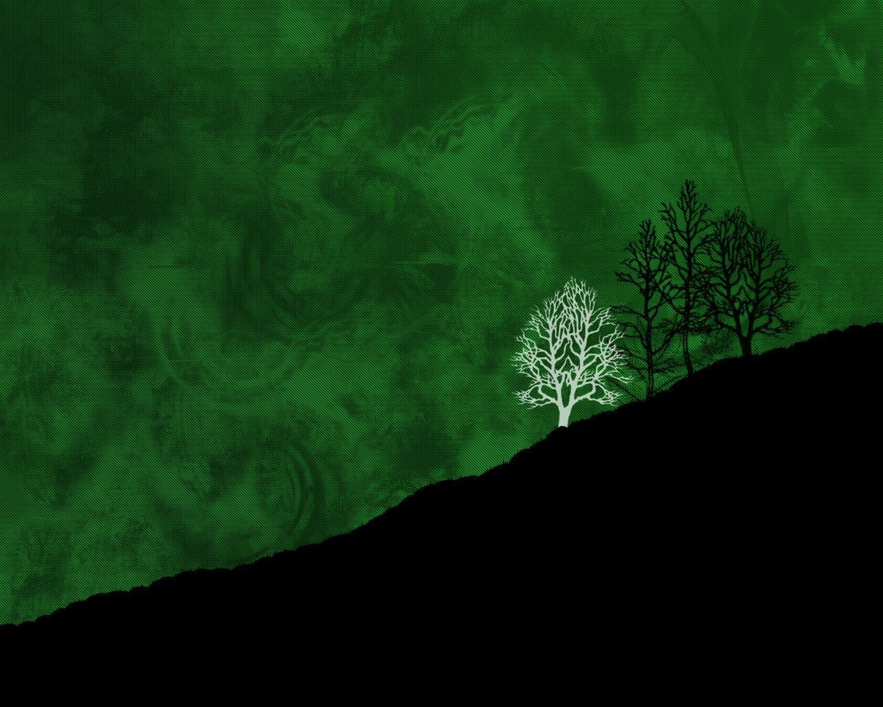 1280x1024 Black and Green Wallpaperwallpaper.dog