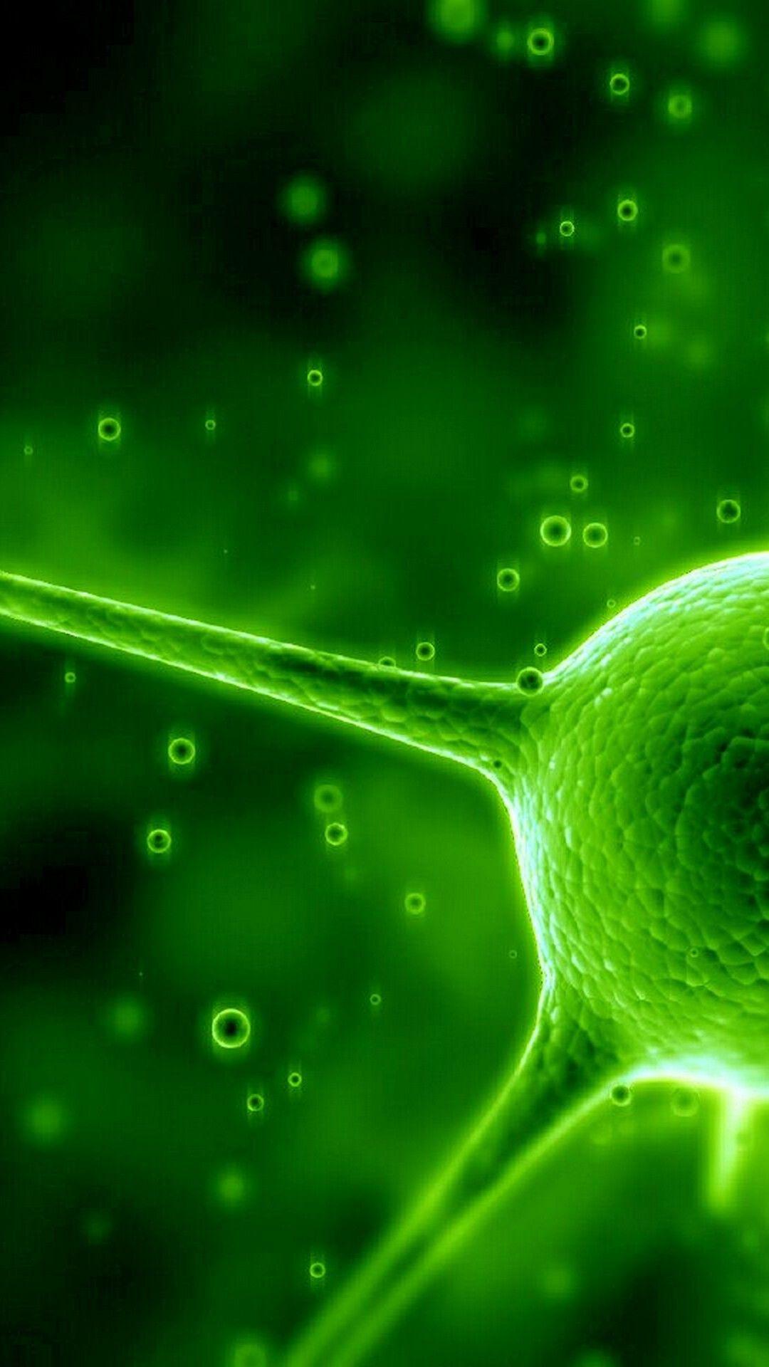 Dark Green Phone Wallpapers Top Free Dark Green Phone Backgrounds