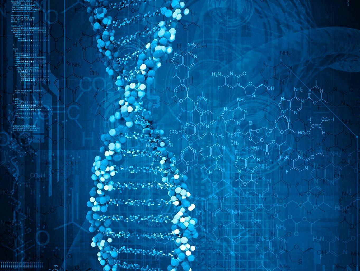1363x1024 DNA