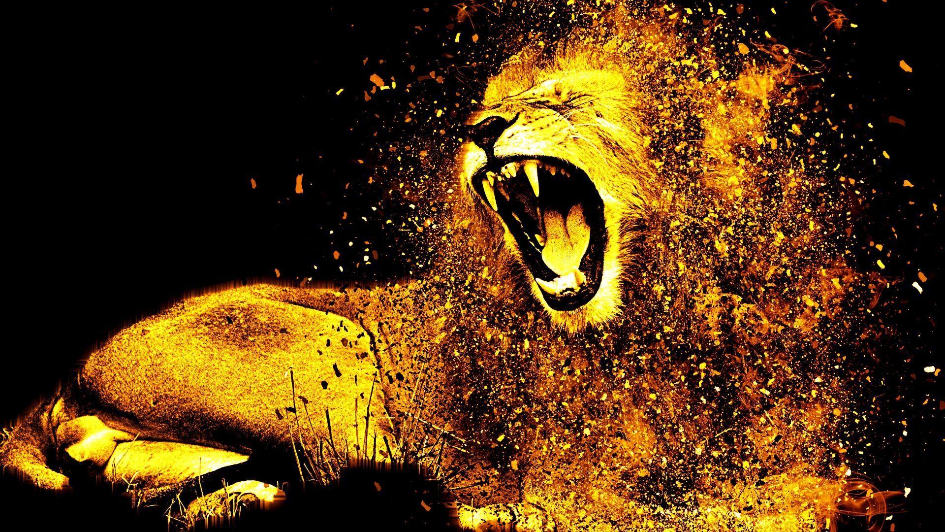 1920x1080 Majestic Lion HD HD Image Free .