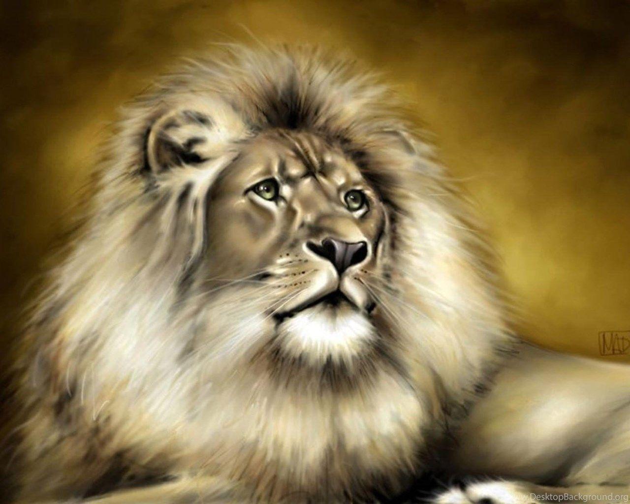 Majestic Lion Wallpaper