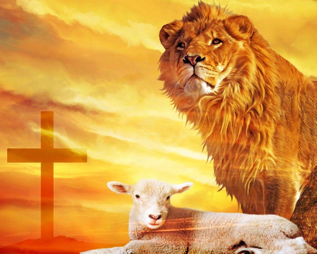 Lion And A Lamb Are Sitting On A Grassy Field Background Lion And Lamb  Picture Background Image And Wallpaper for Free Download