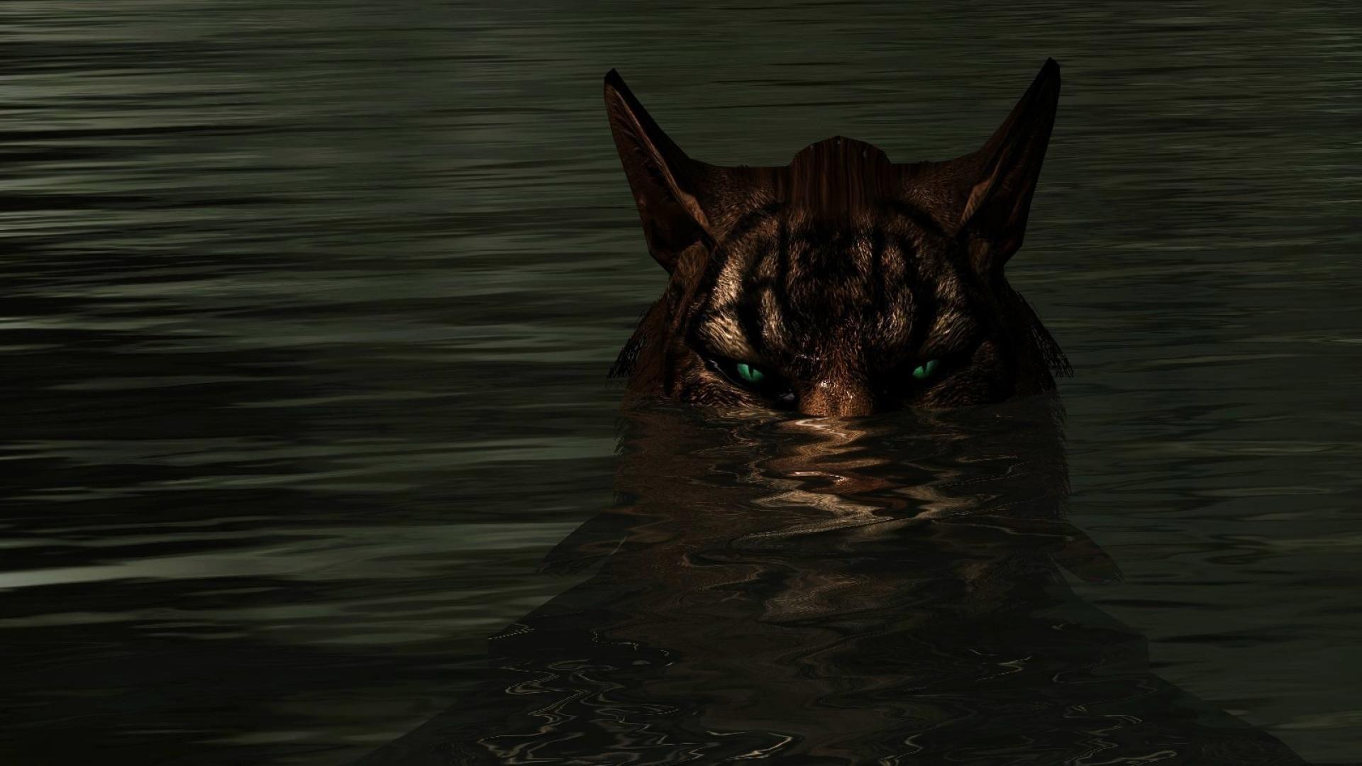 1920x1080 The elder scrolls v: skyrim wallpaper