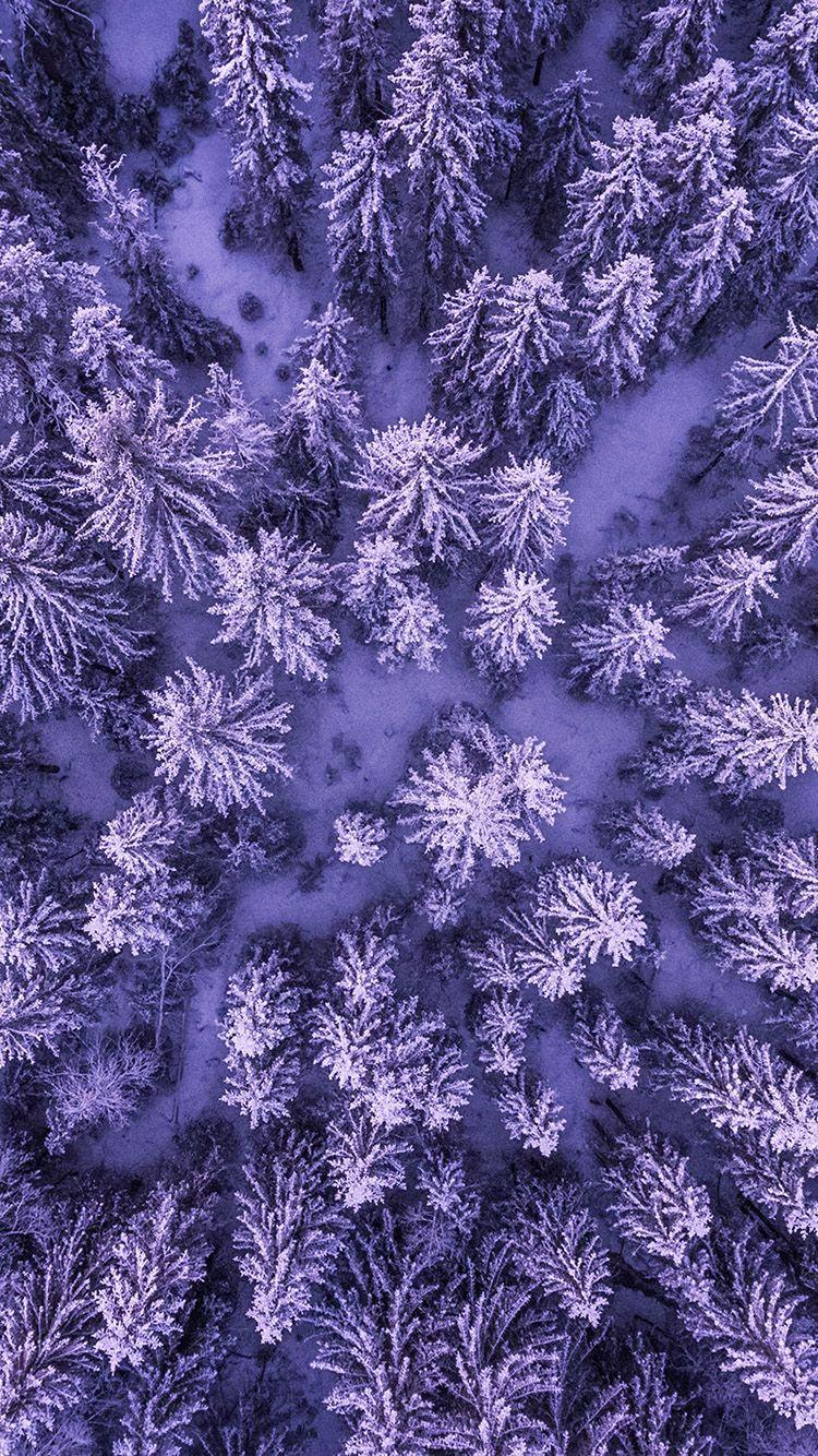 750x1334 Nature Tree Purple