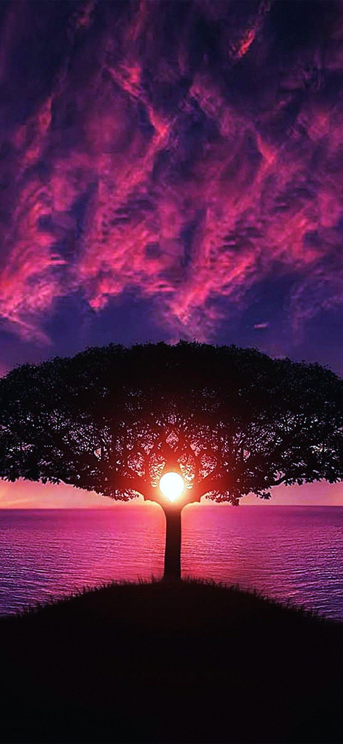 1125x2436 Sea Tree Purple Sky Nature