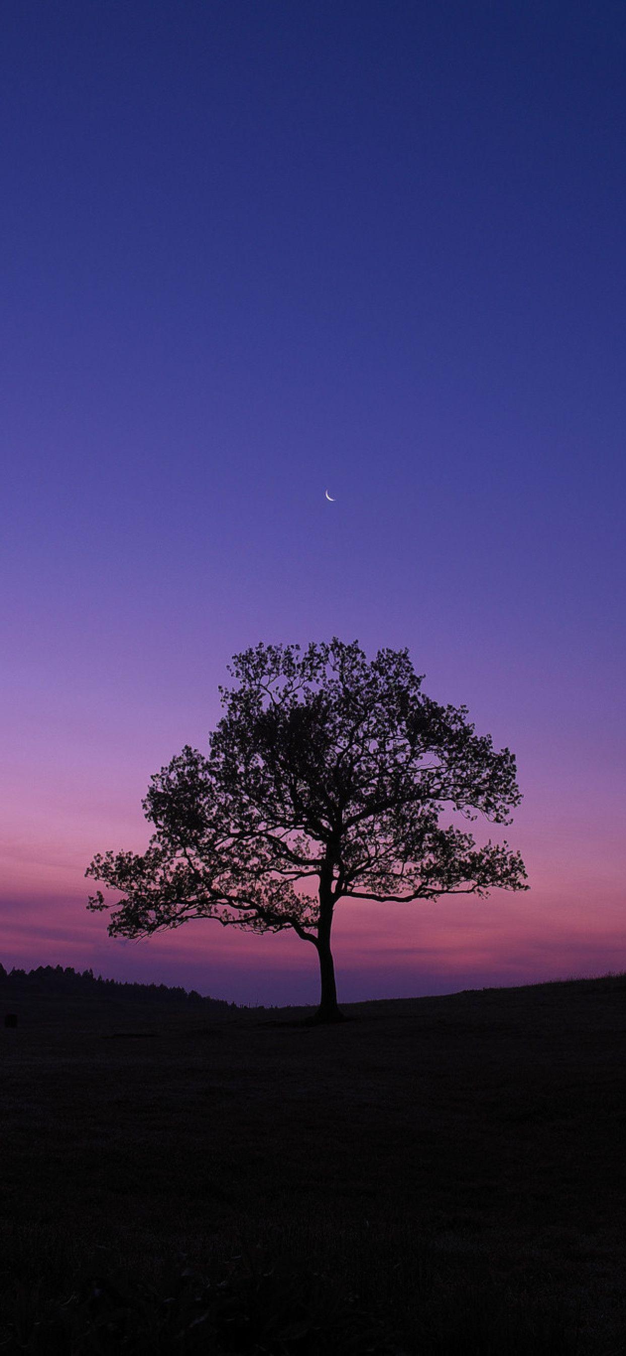 1242x2688 Purple Sky iPhone Wallpaper on .wallpaper.dog
