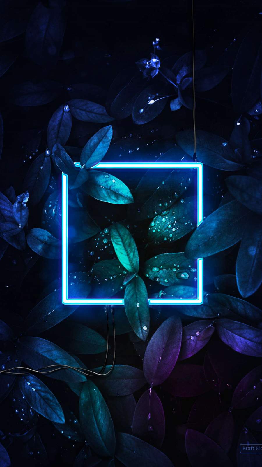 900x1601 Neon Nature iPhone Wallpaper .