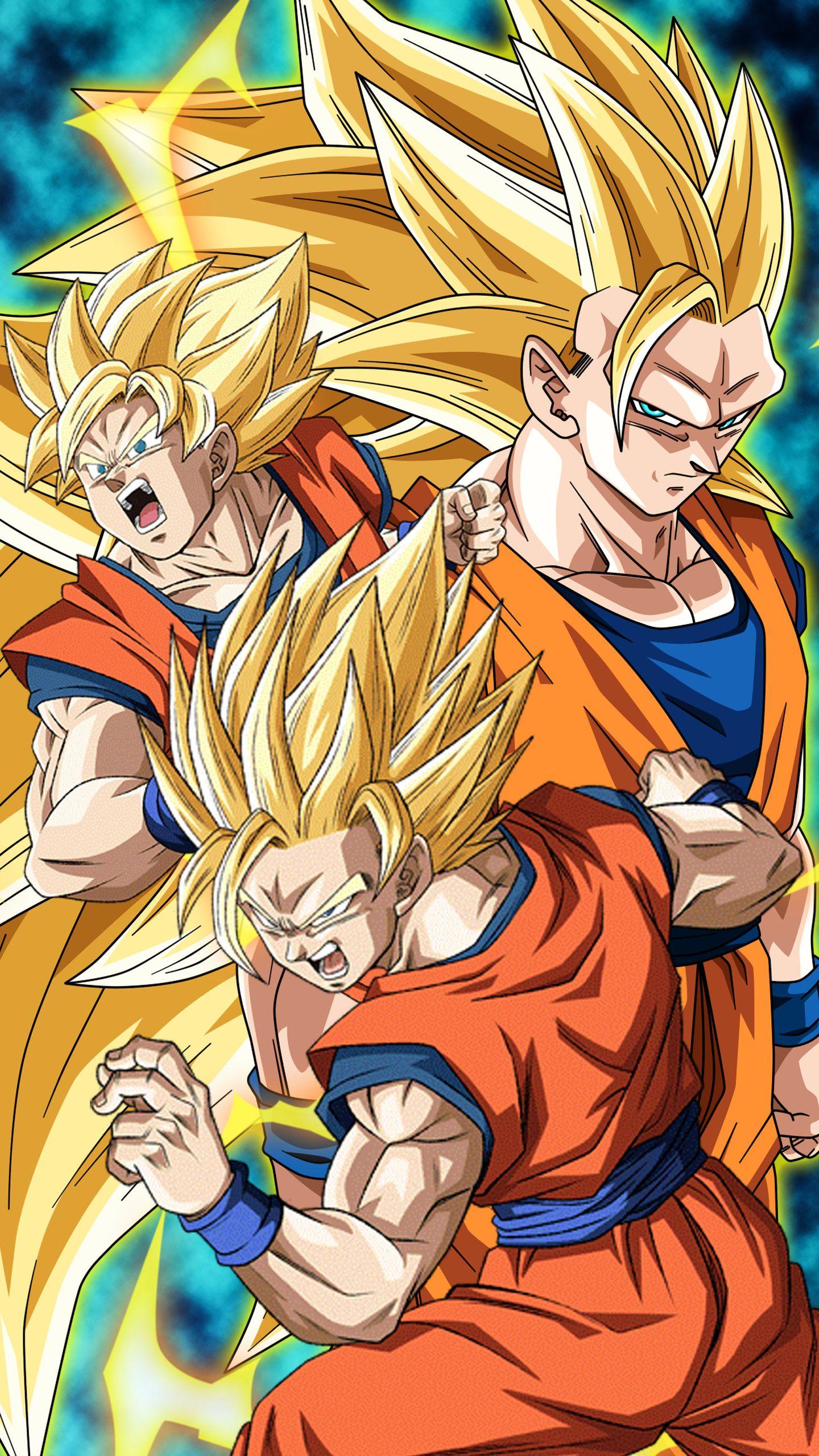 1440x2560 Bardock Wallpaper HD