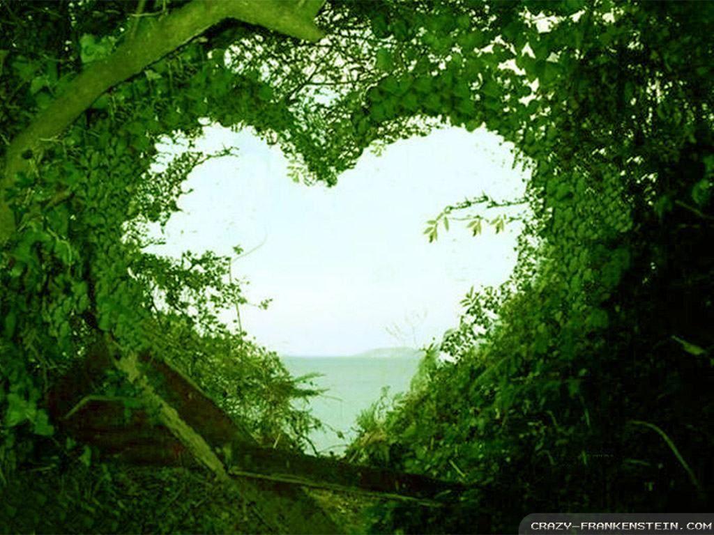 Beautiful Green Heart Wallpapers Top Free Beautiful Green Heart