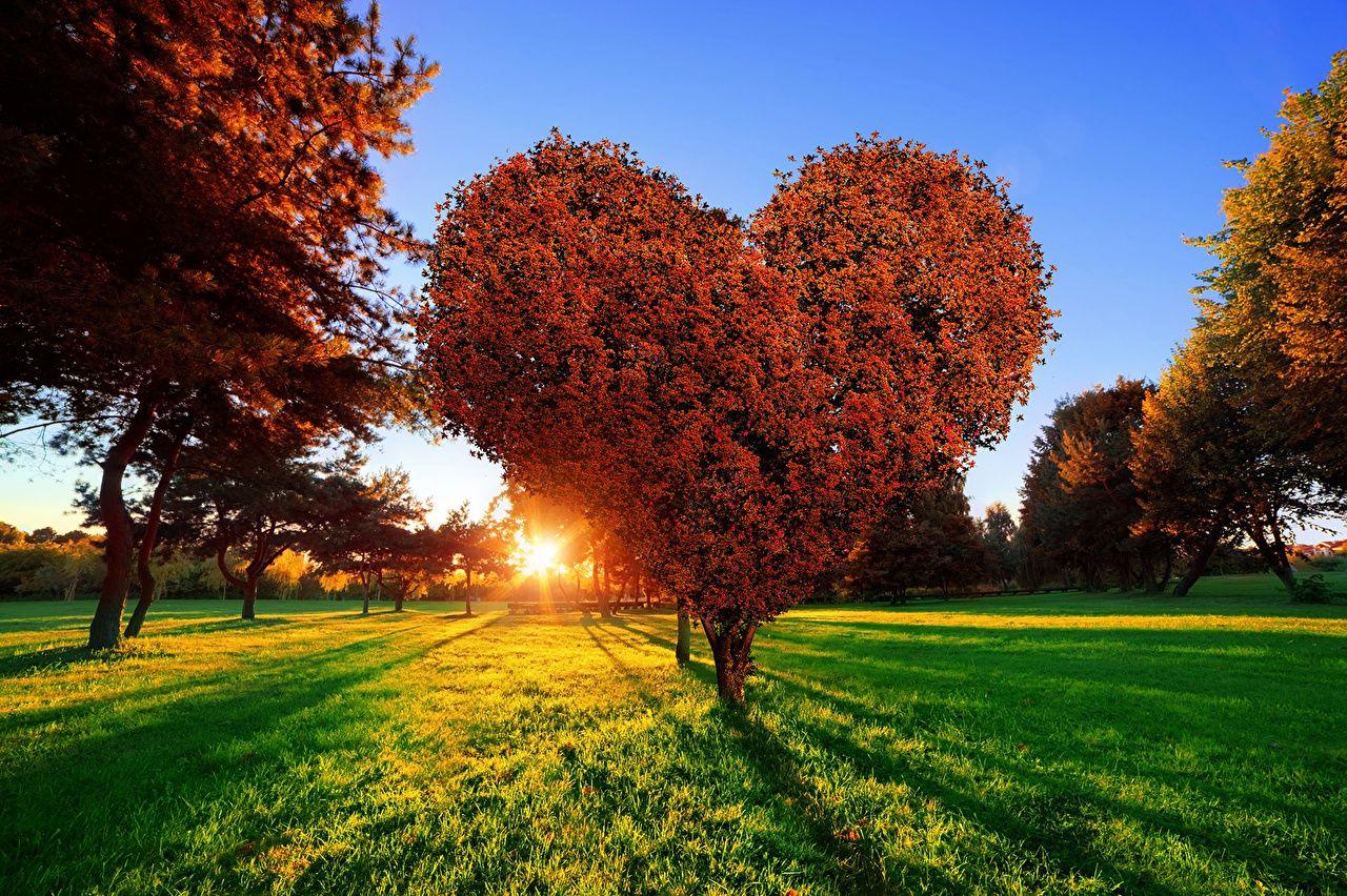 1280x852 Nature Parks Sunrises and sunsets
