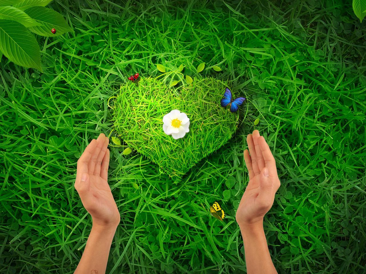 1280x960 Nature Heartewallpaper.eu