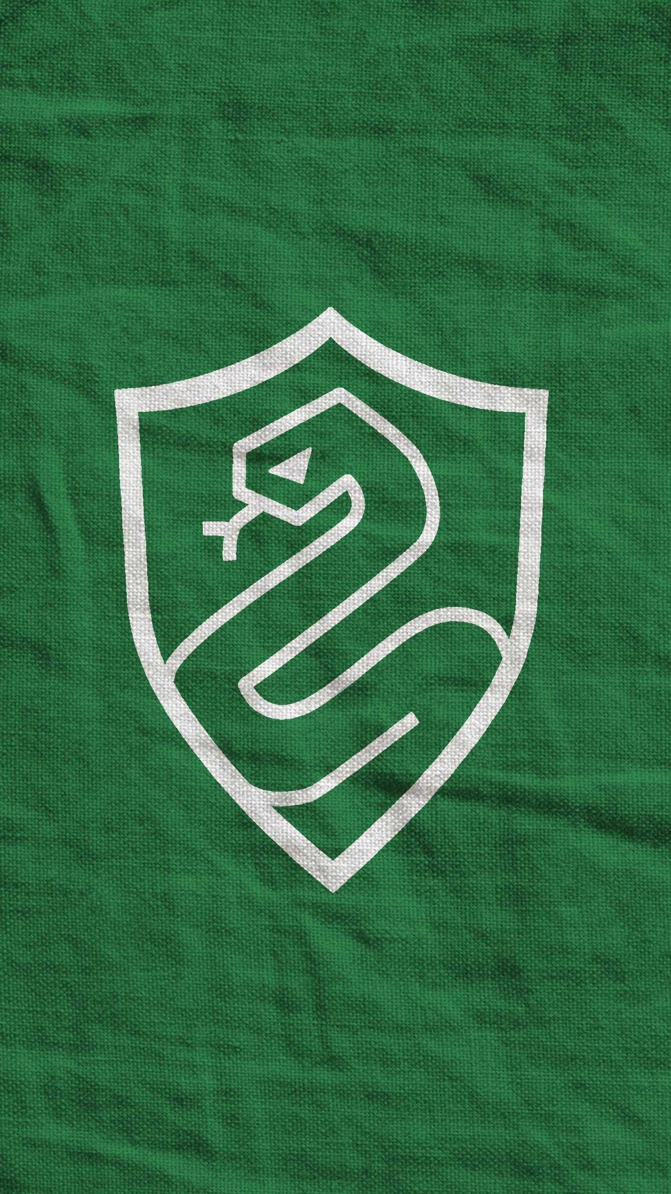 1350x2400 Slytherin Wallpaper