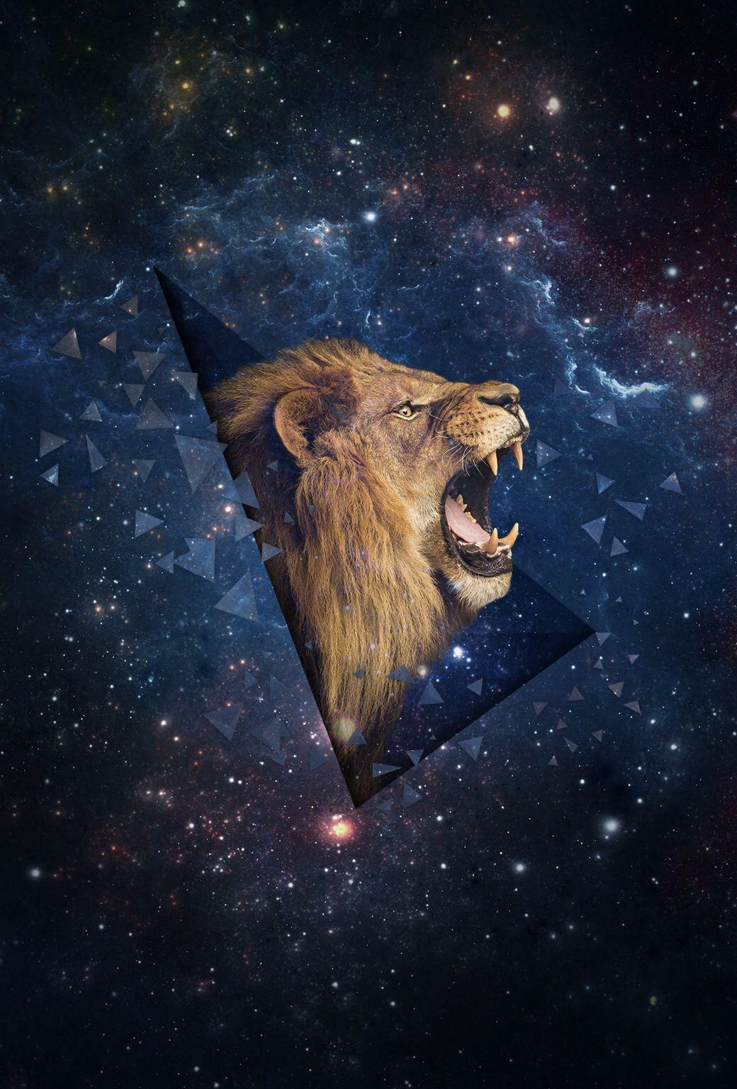 1040x1536 Lion Galaxy Wallpaperwallpaper.dog