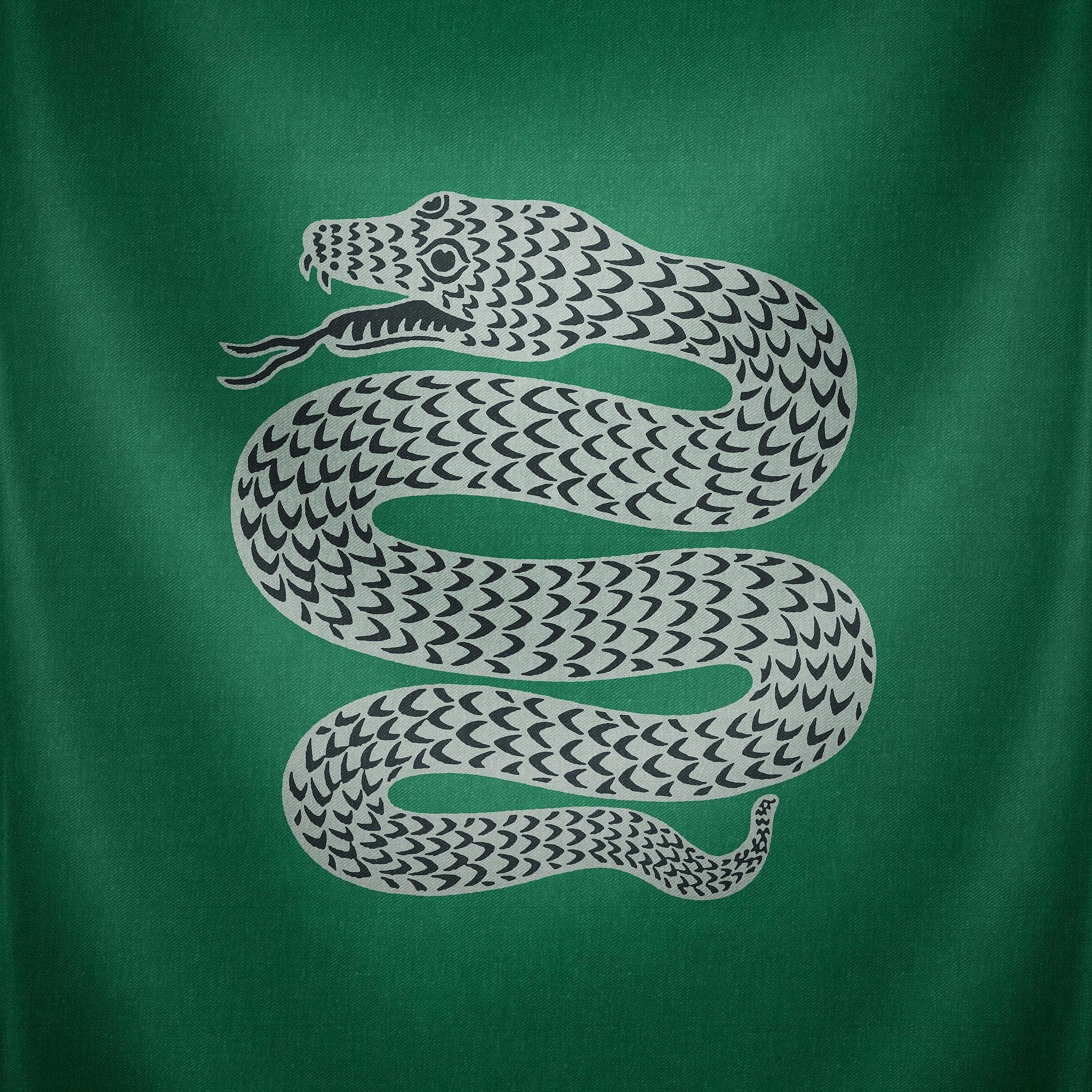 2048x2048 Slytherin Wallpaper for Tablet .line.
