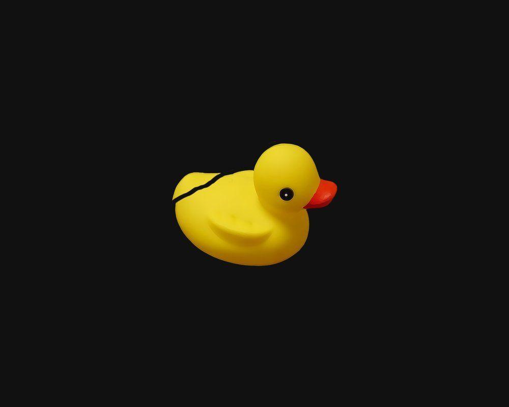 1000x800 Awesome Mallard Duck Background Mallard Duck Wallpaper ×. HD