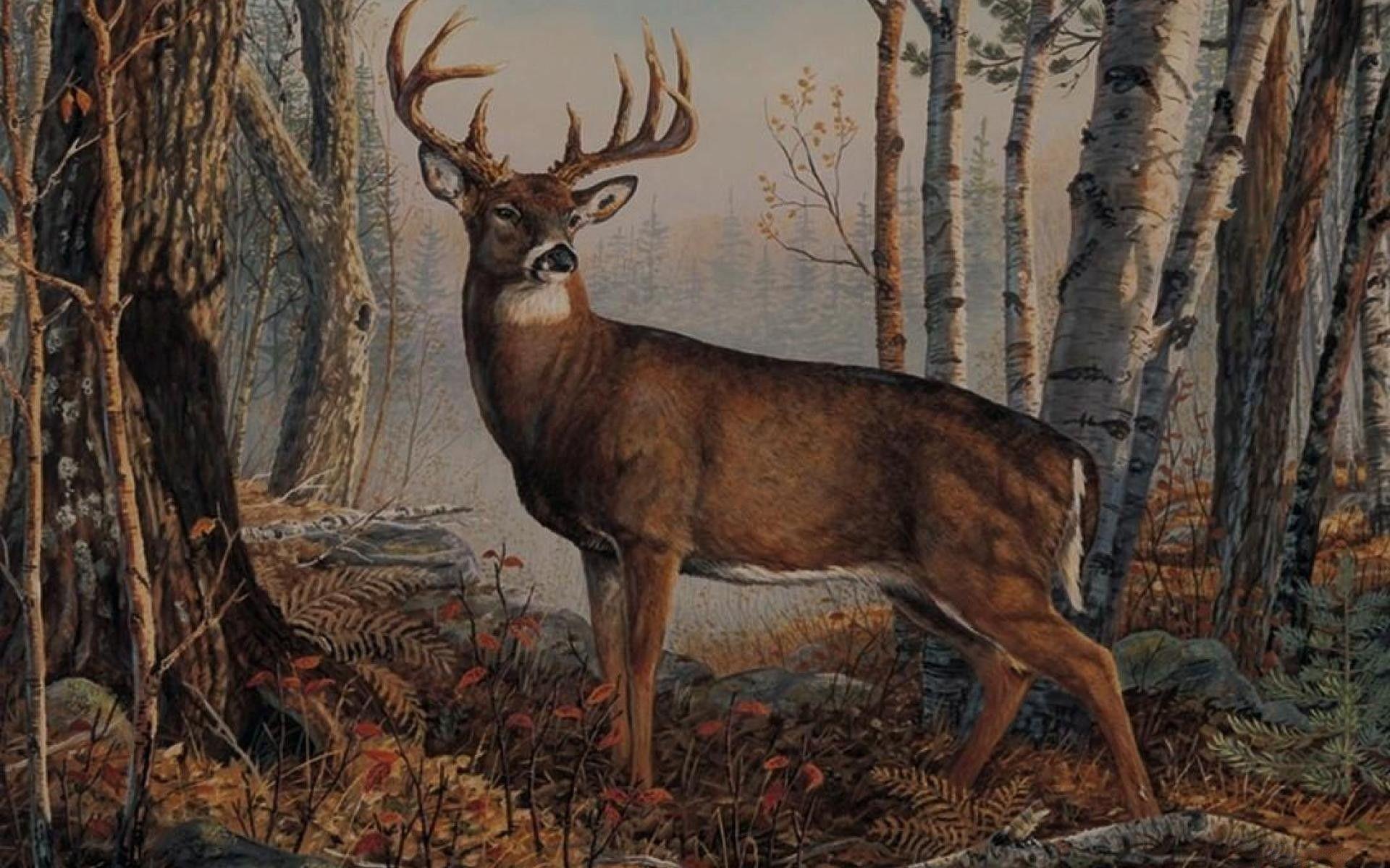1920x1200 Whitetail Deer Desktop .line.