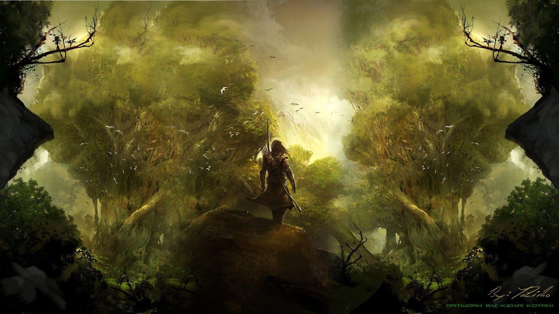 1920x1080 Gw2