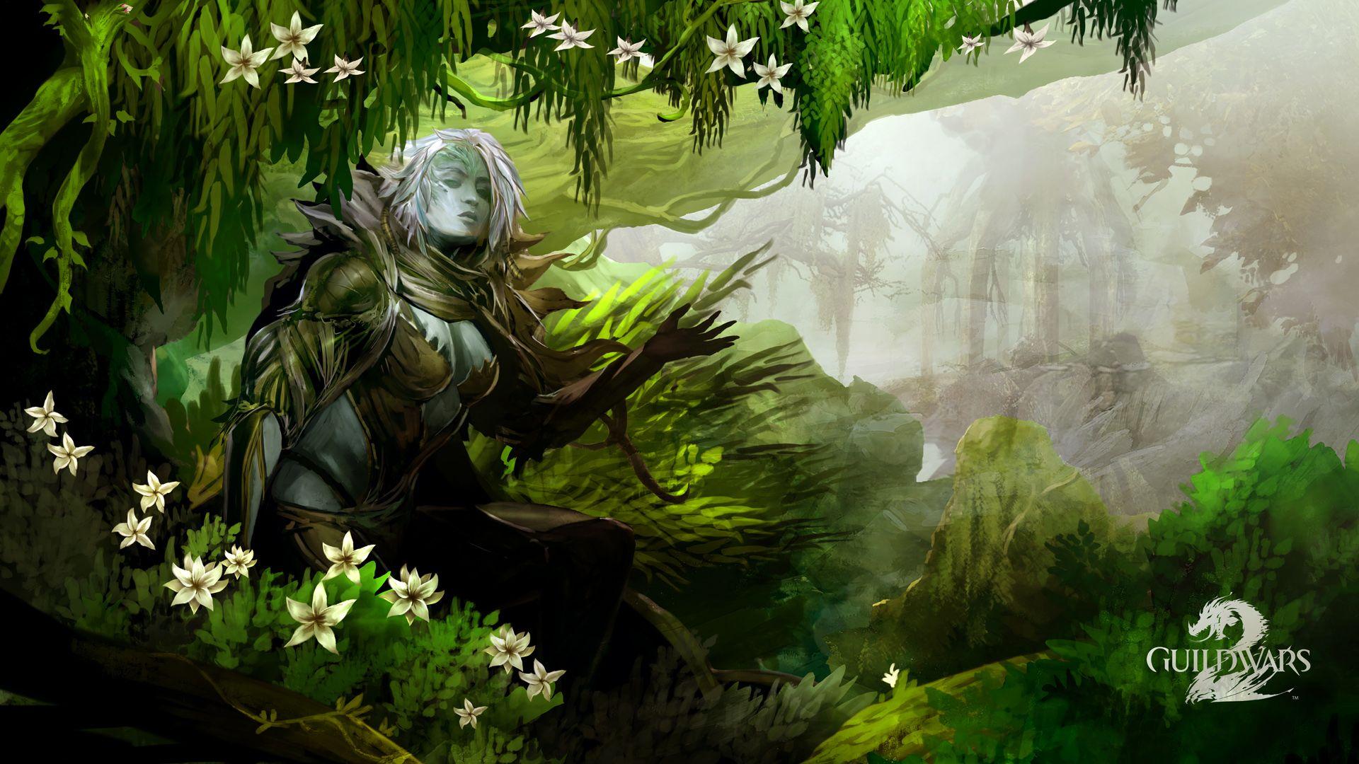 GW2 Wallpapers - Top Free GW2 Backgrounds - WallpaperAccess