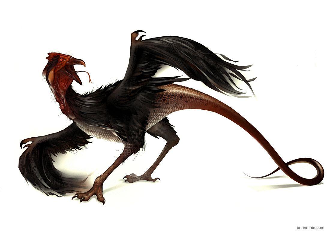 Cockatrice [Beta Edition] main image 1