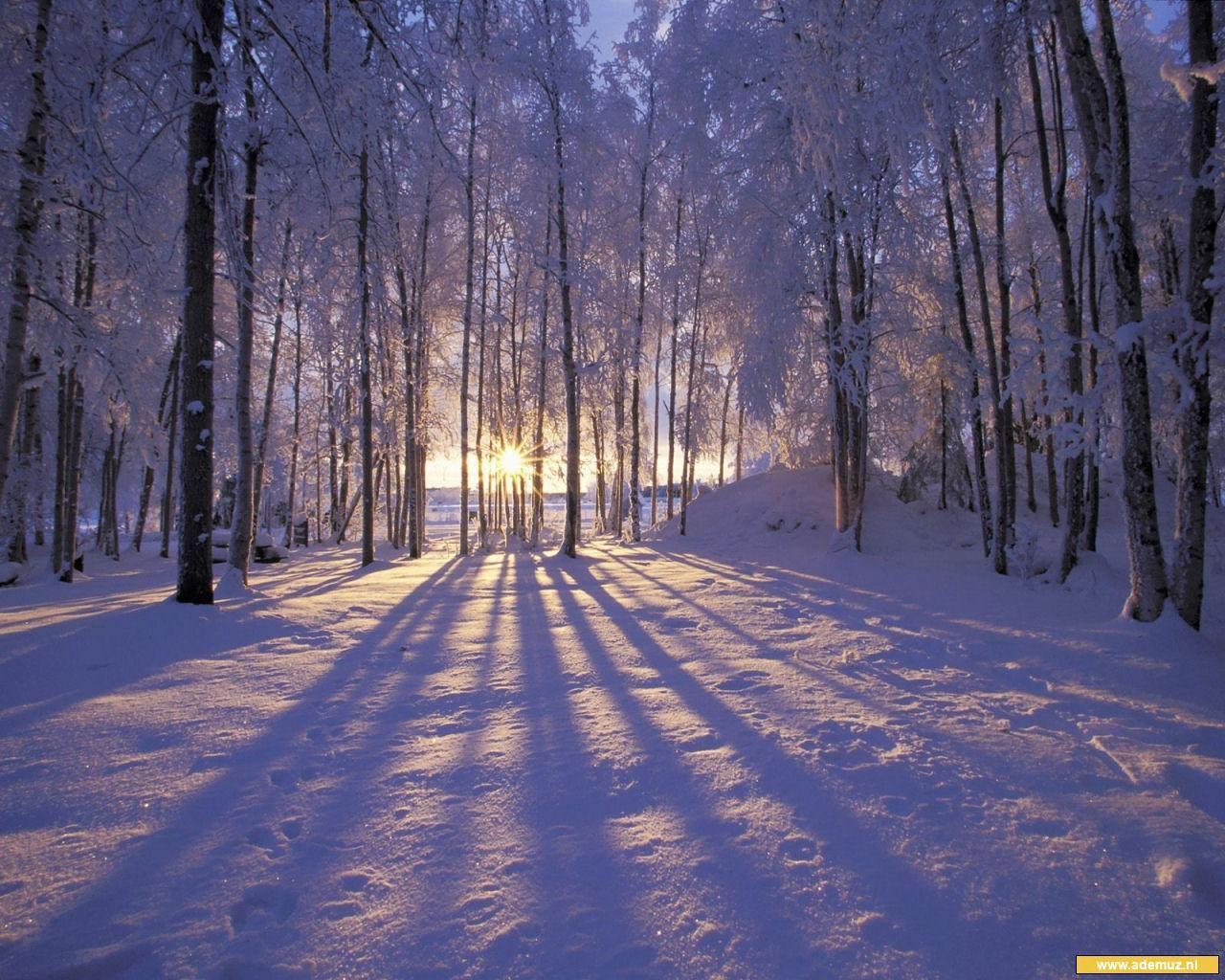 1280x1024 winter wallpaper winter wallpaper .com
