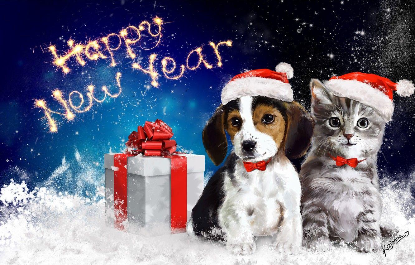 1332x850 year, cat, art, bow, dog, happy .
