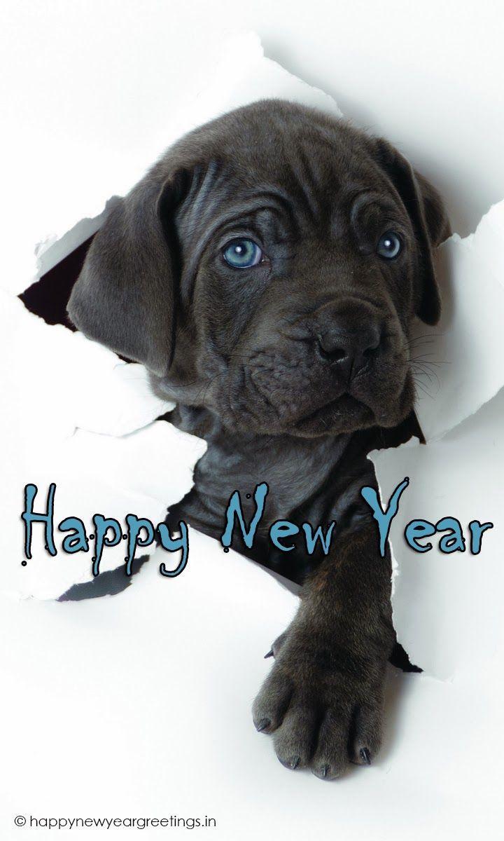 720x1200 Happy New Year 2014 SMS, shayari .com