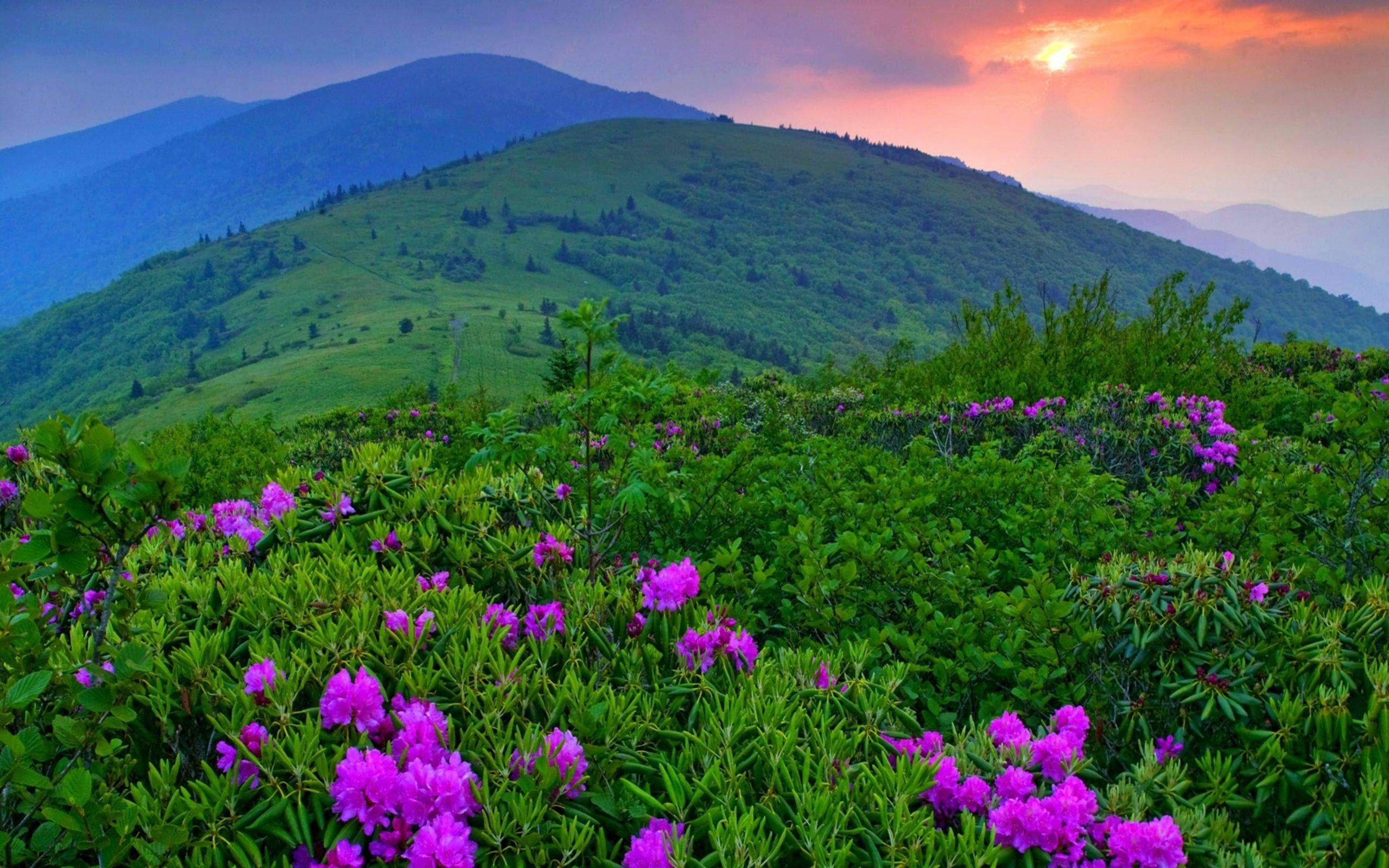 2559x1599 Green Mountains Vermont. Green .ph
