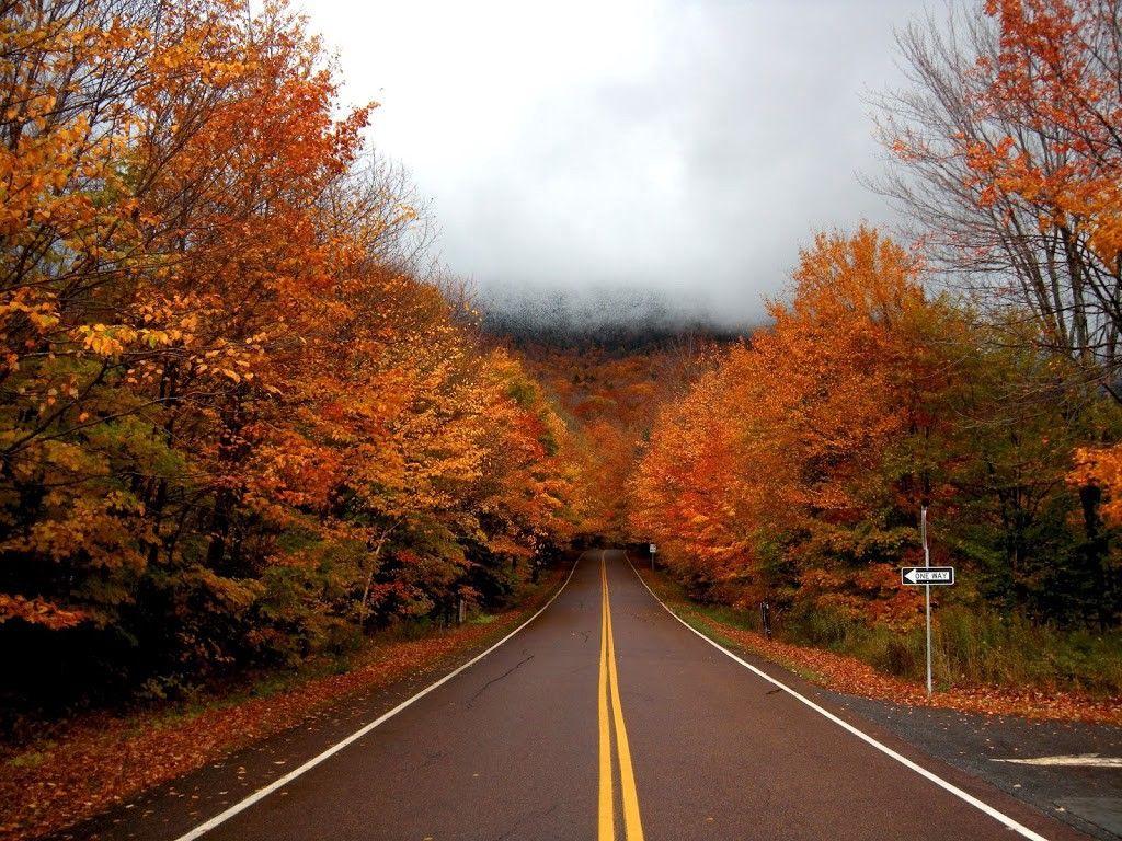 1024x768 Vermont Foliage Wallpaper