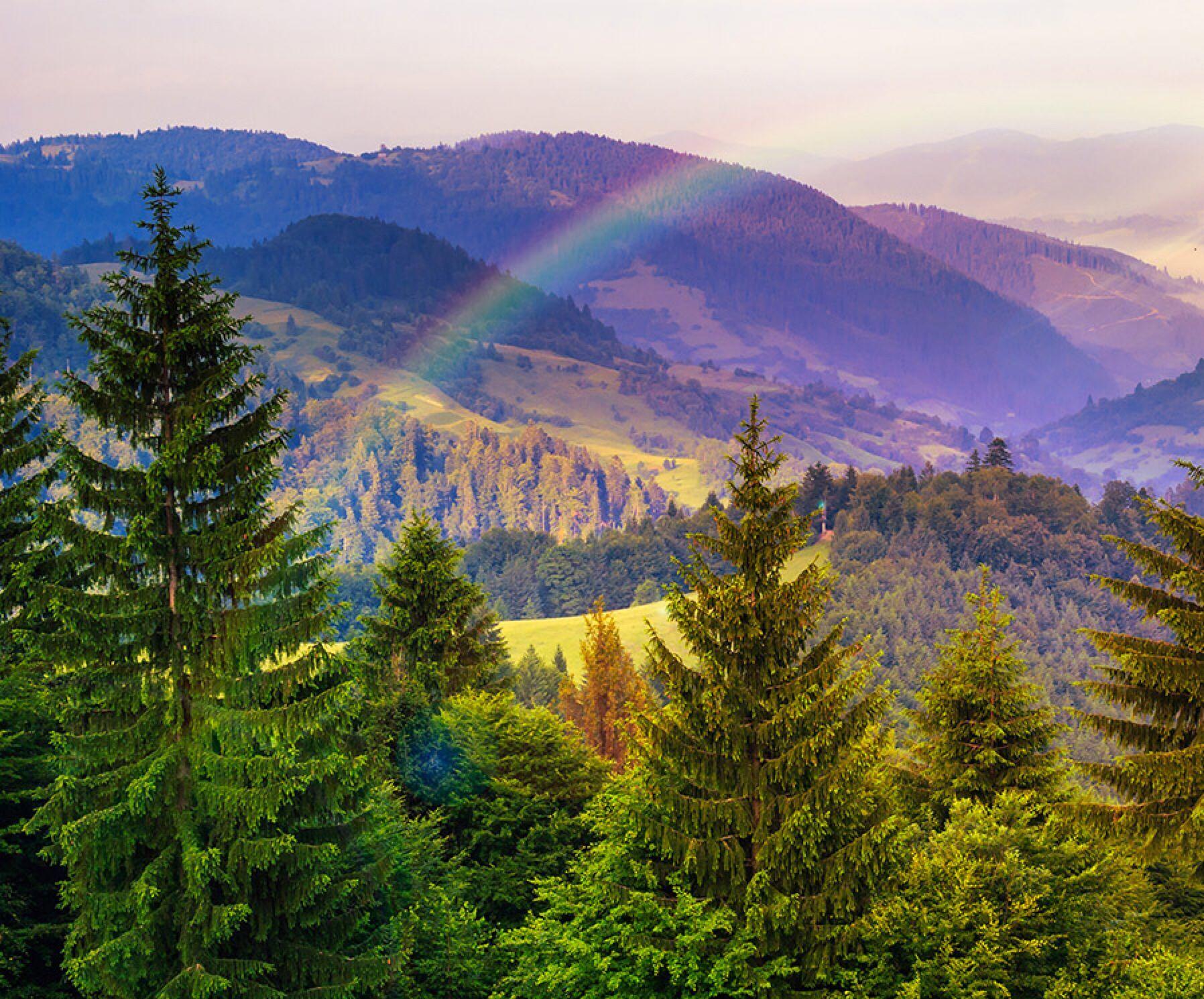 1796x1490 Jigsaw Puzzle .com