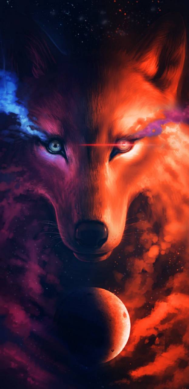 623x1280 Midnight wolf wallpaper by Kabobert .