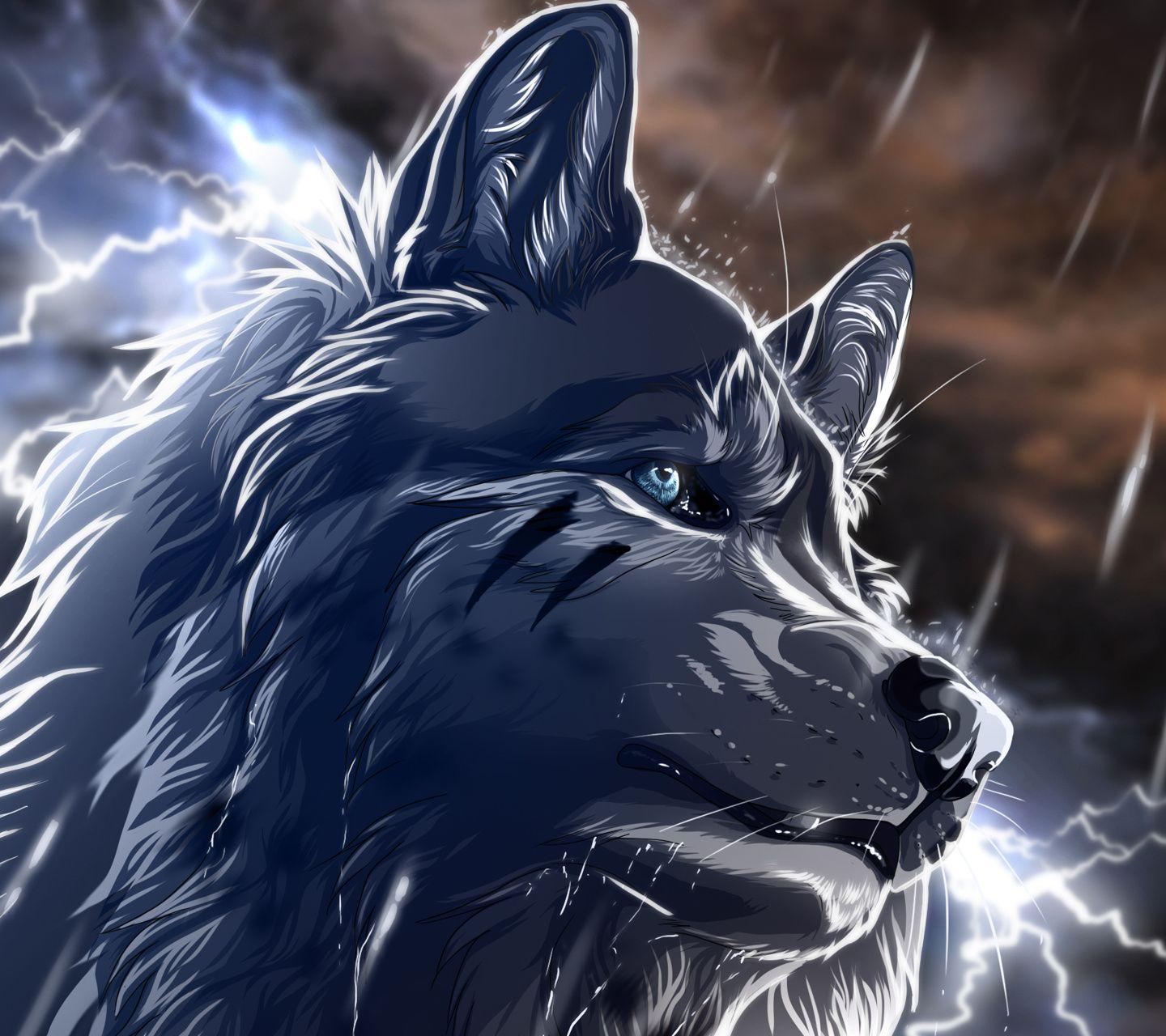 1440x1280 Midnight wolf. Wolf wallpaper, Anime .com