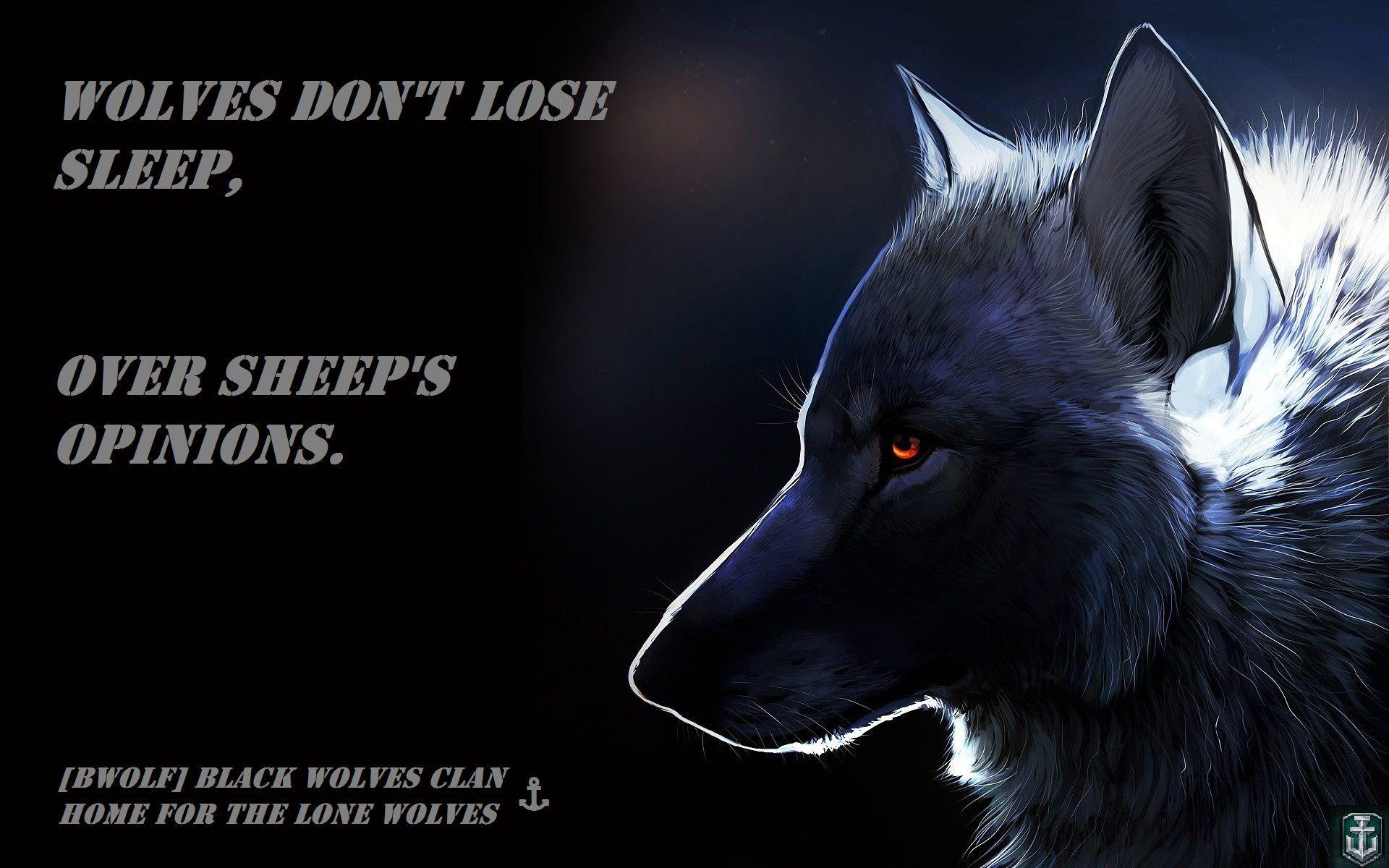 1920x1200 Lone Wolf Wallpaper background .