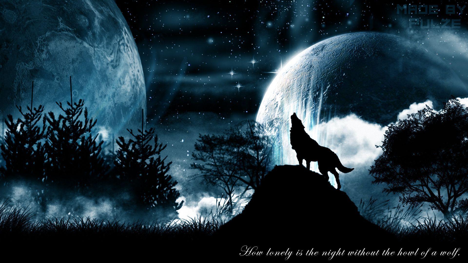 Midnight Wolf Wallpapers - Top Free Midnight Wolf Backgrounds -  WallpaperAccess