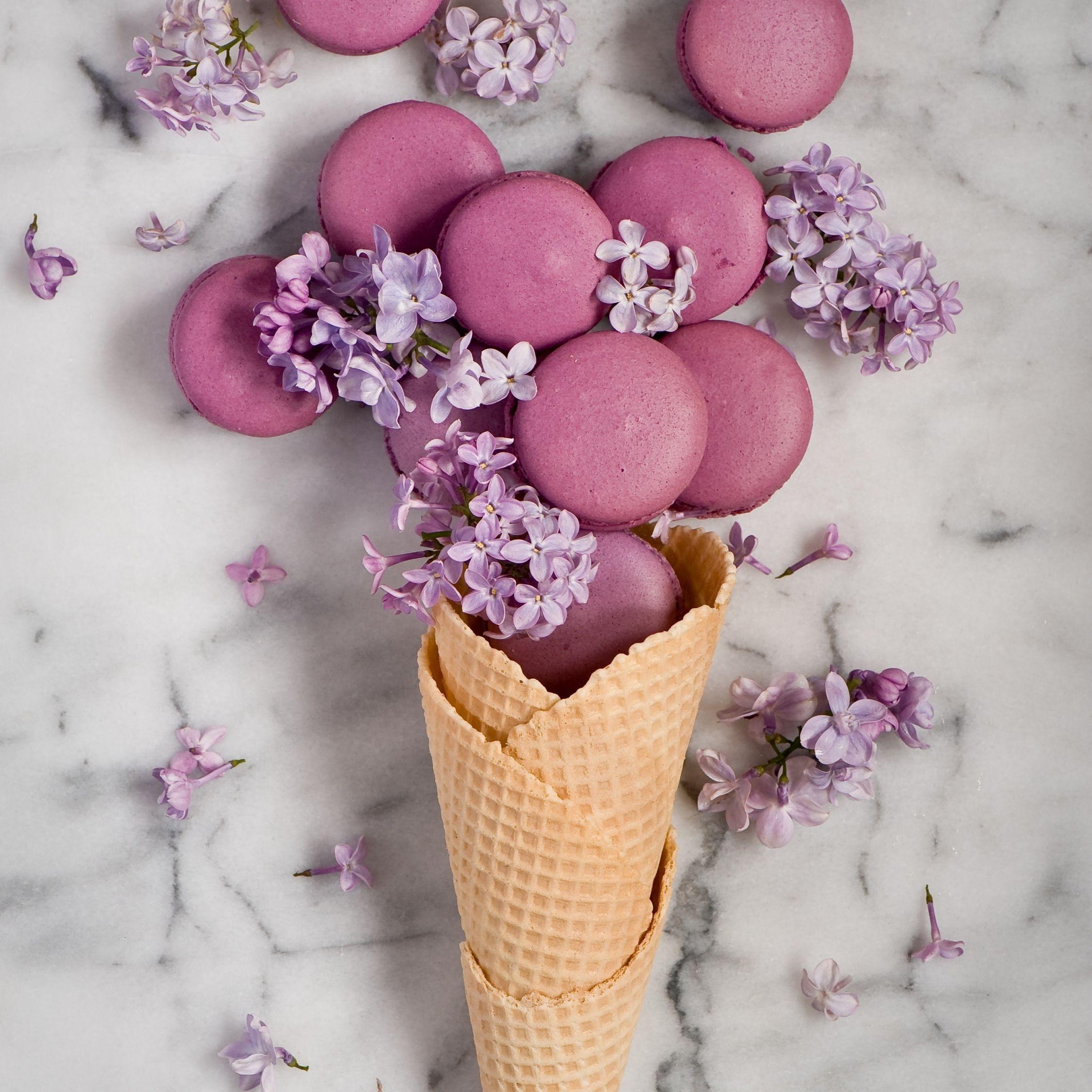 2248x2248 Purple Macaron