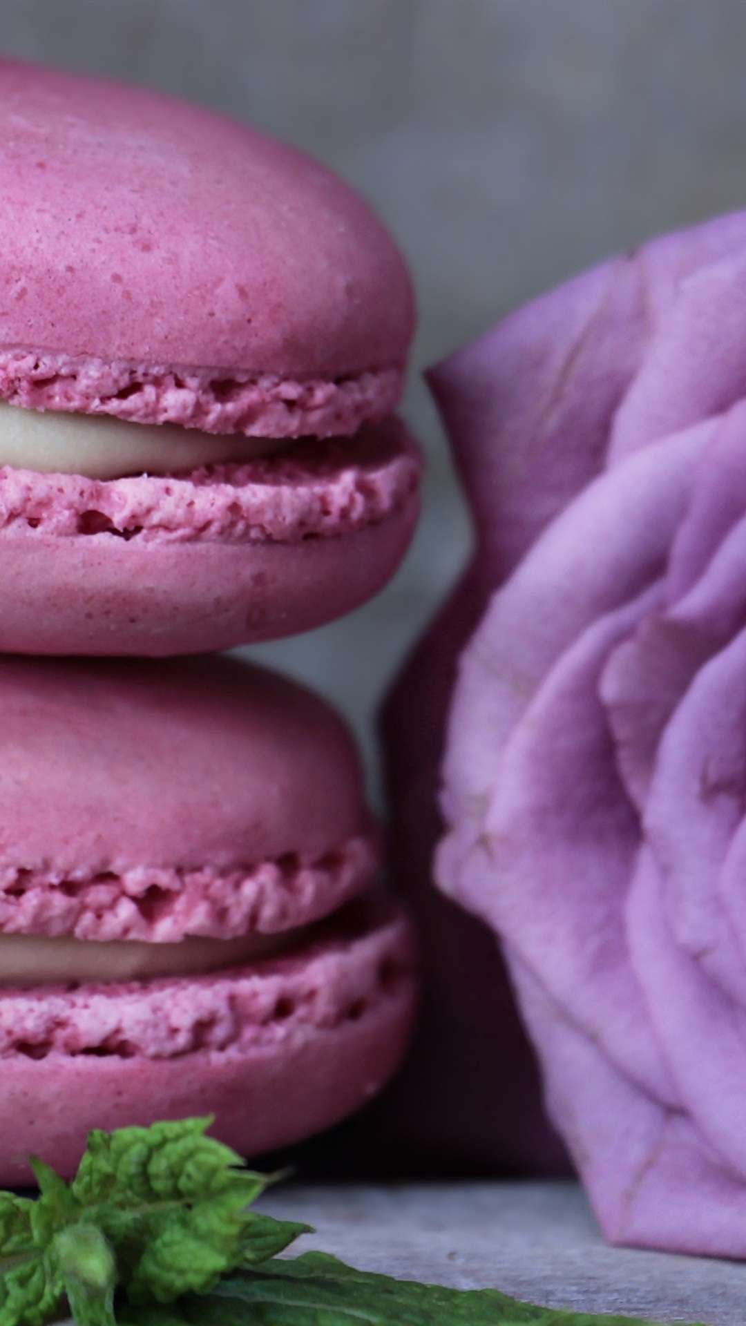 Cute Macaroon iPhone Wallpapers - Top Free Cute Macaroon iPhone ...