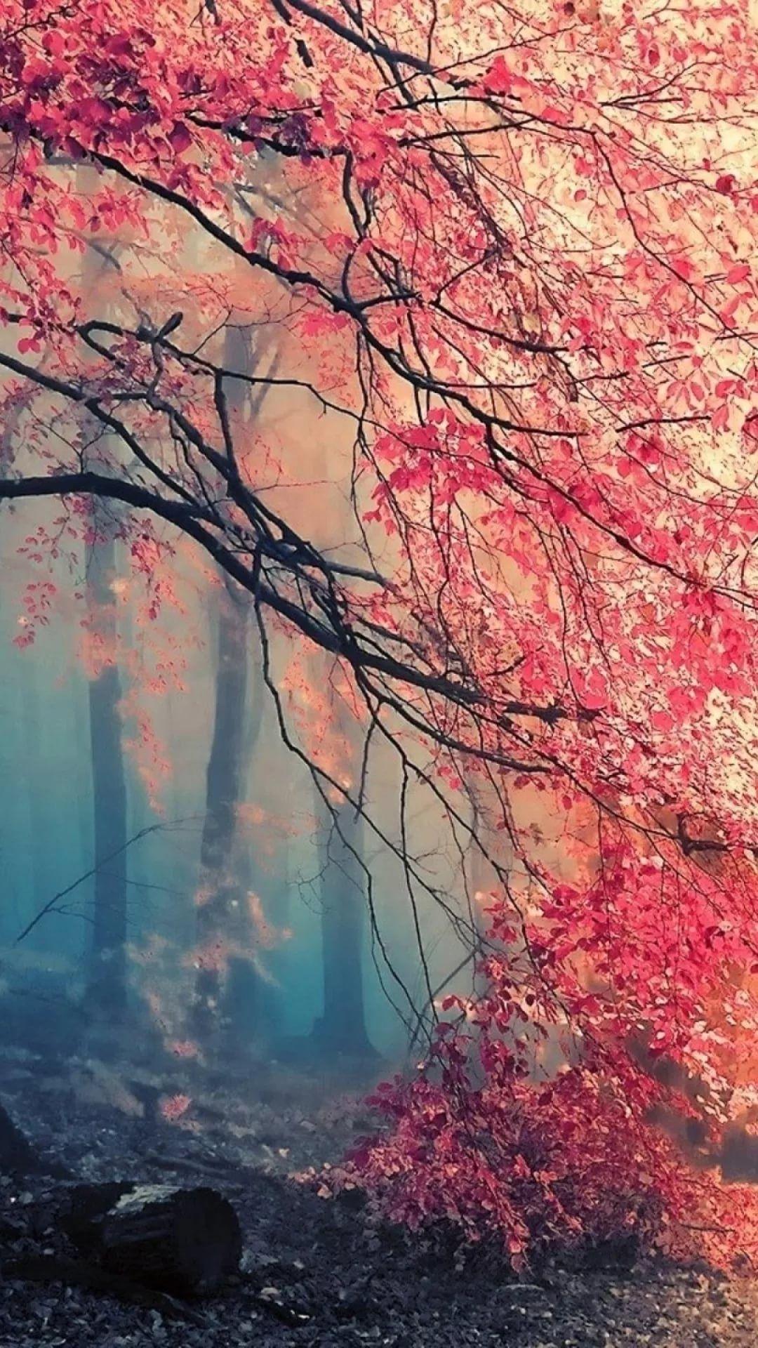 Japanese Art Mobile Wallpapers - Top Free Japanese Art Mobile ...