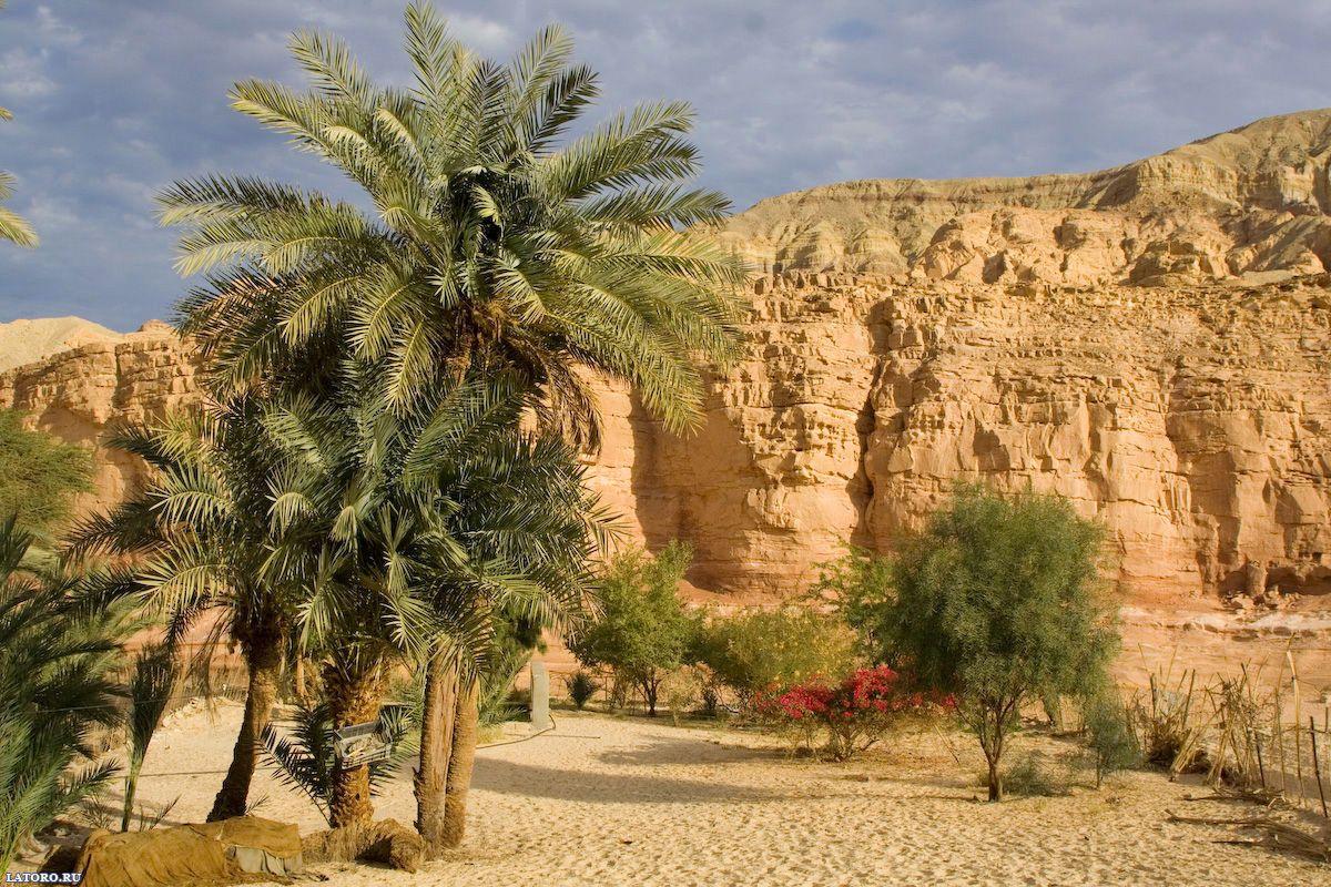 1200x800 Middle East